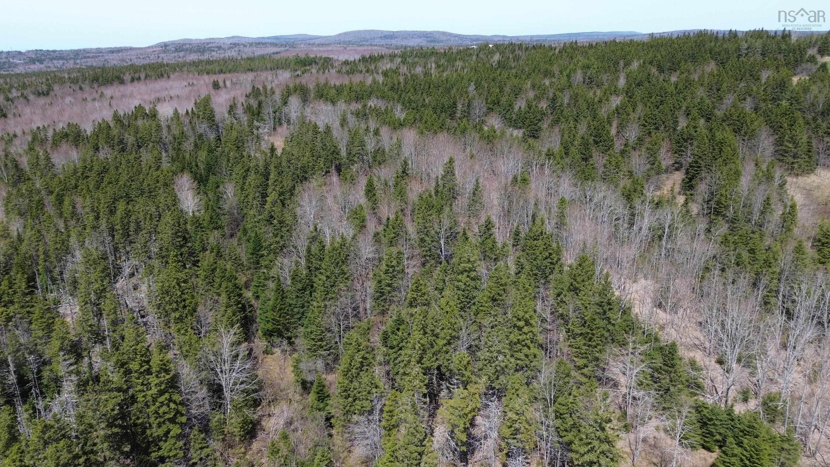 $20,000.00: LOT David Street, Port Hastings