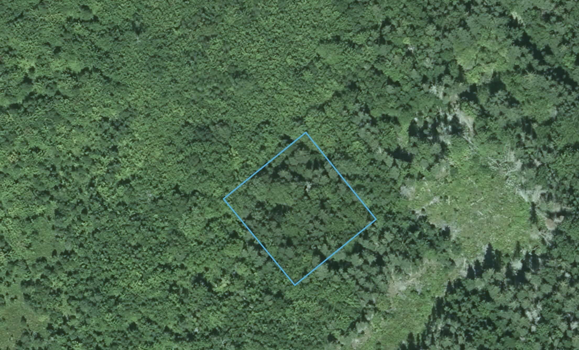 $20,000.00: LOT David Street, Port Hastings