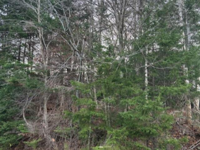$159,900.00: Lot 32 Lakeview Avenue, Middle Sackville