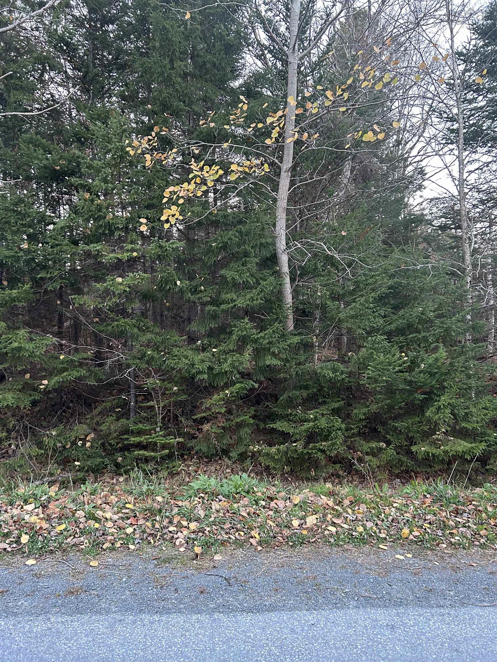 $159,900.00: Lot 32 Lakeview Avenue, Middle Sackville