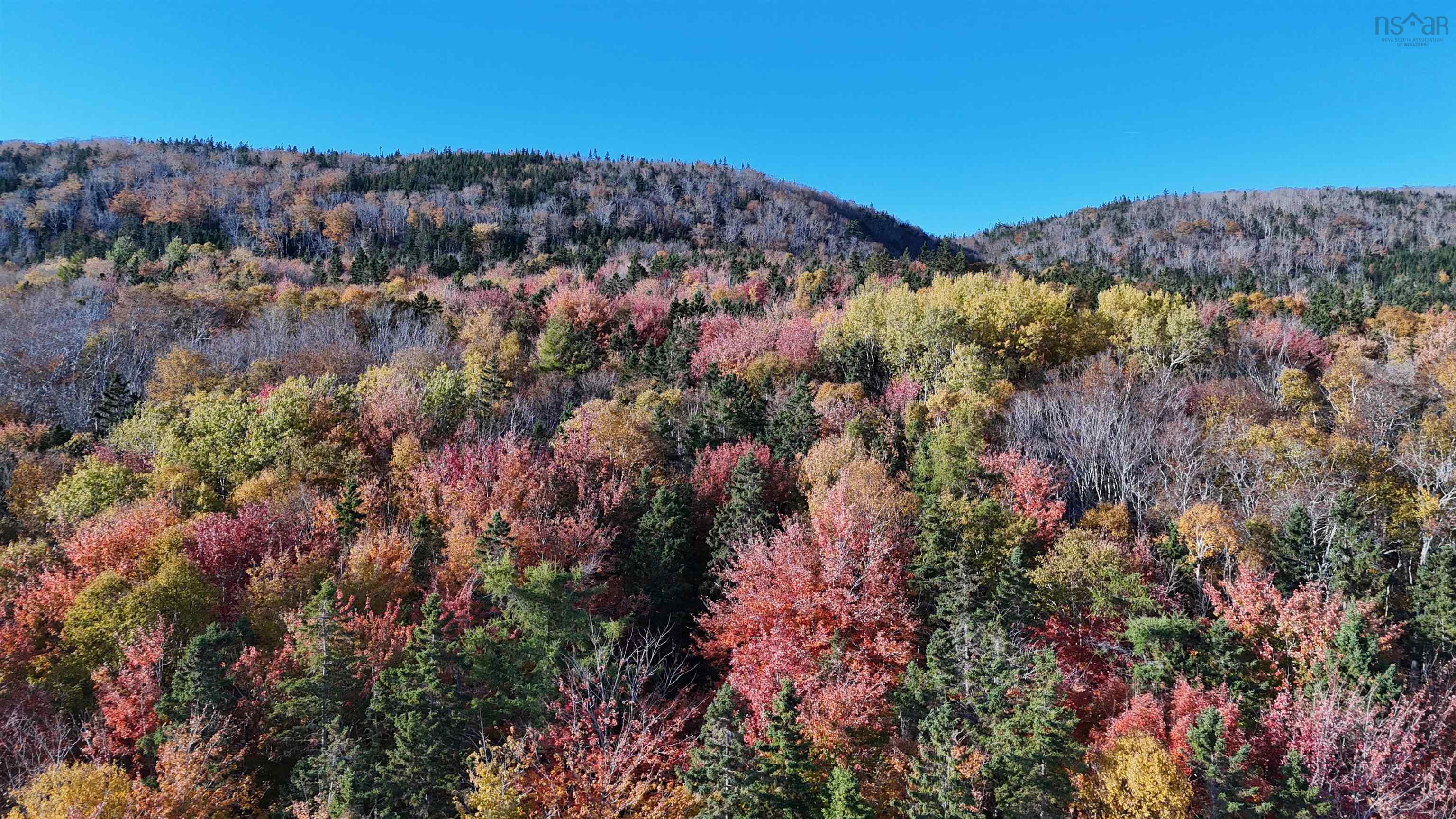 $599,900.00: Marble Mountain Road, Lime Hill
