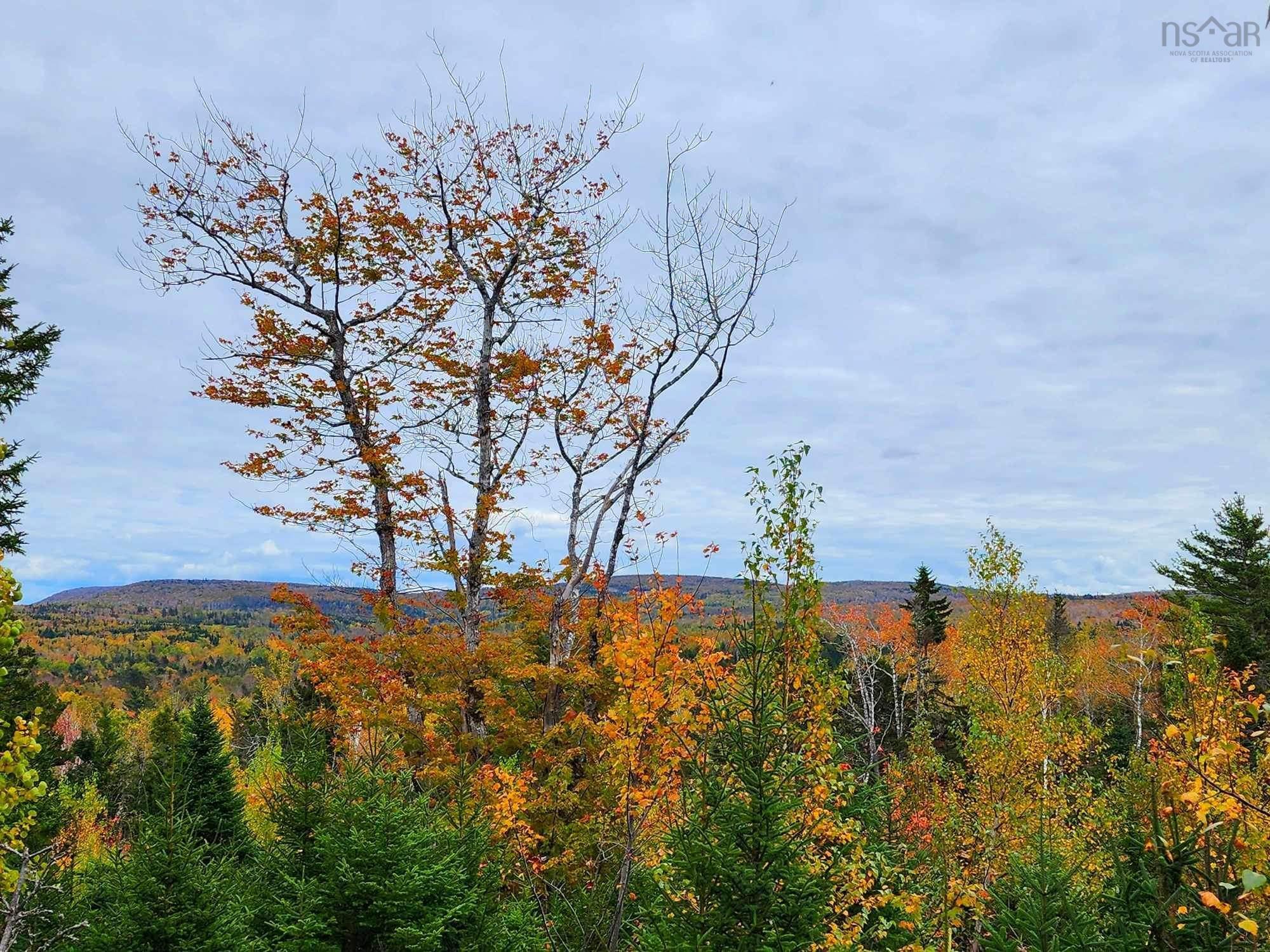 $74,900.00: Lot 3B Highway 4, Telford
