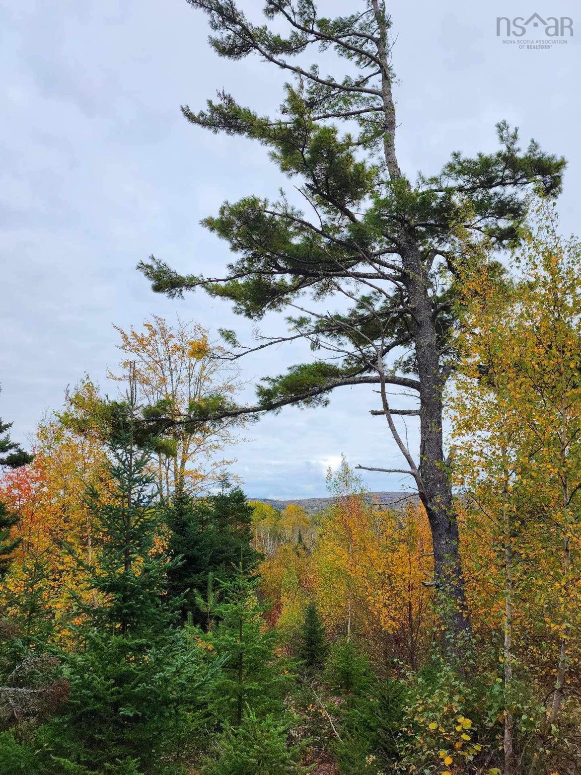 $74,900.00: Lot 3B Highway 4, Telford