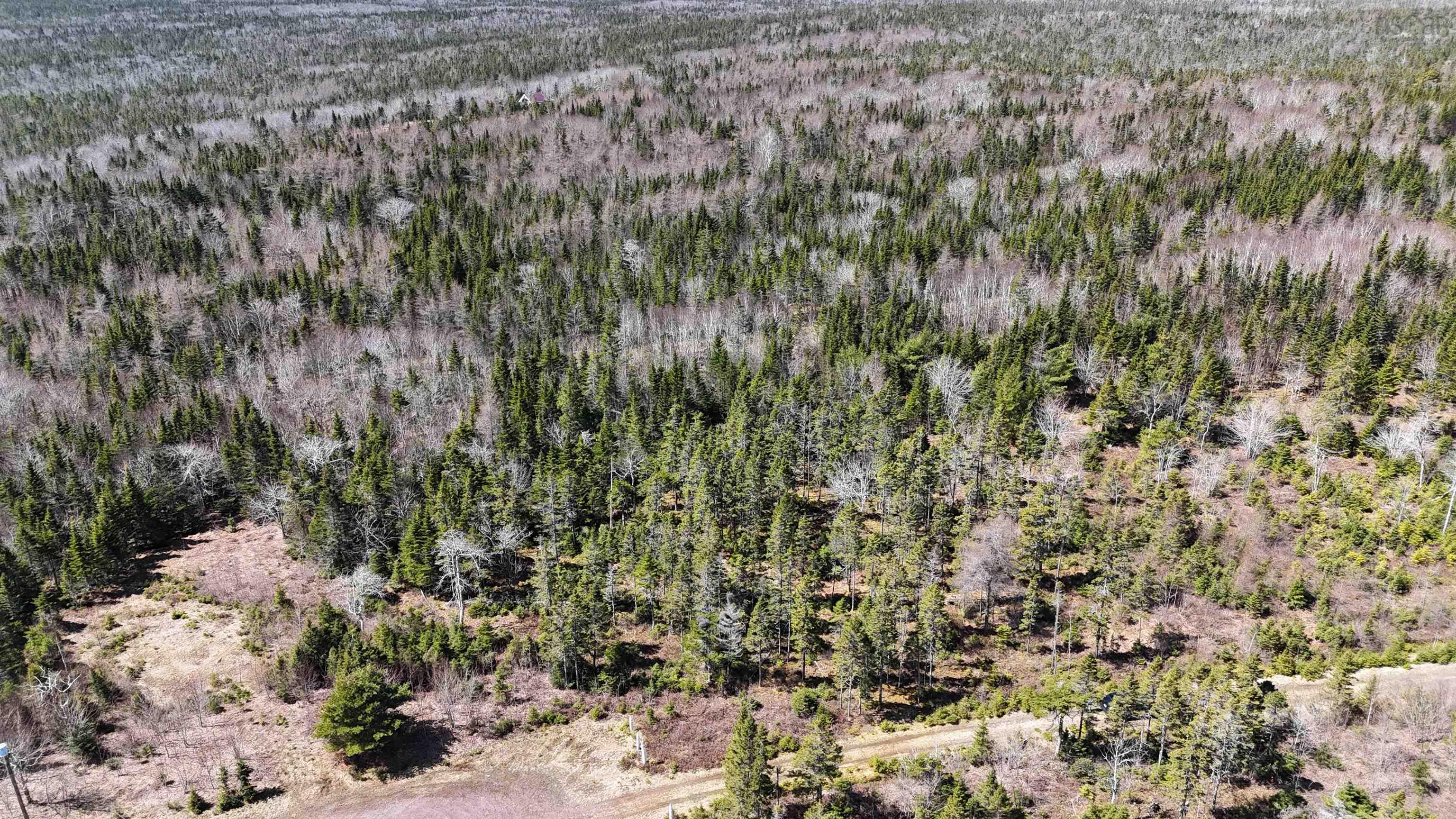 $28,900.00: Lot 14 Hill Street, French Cove