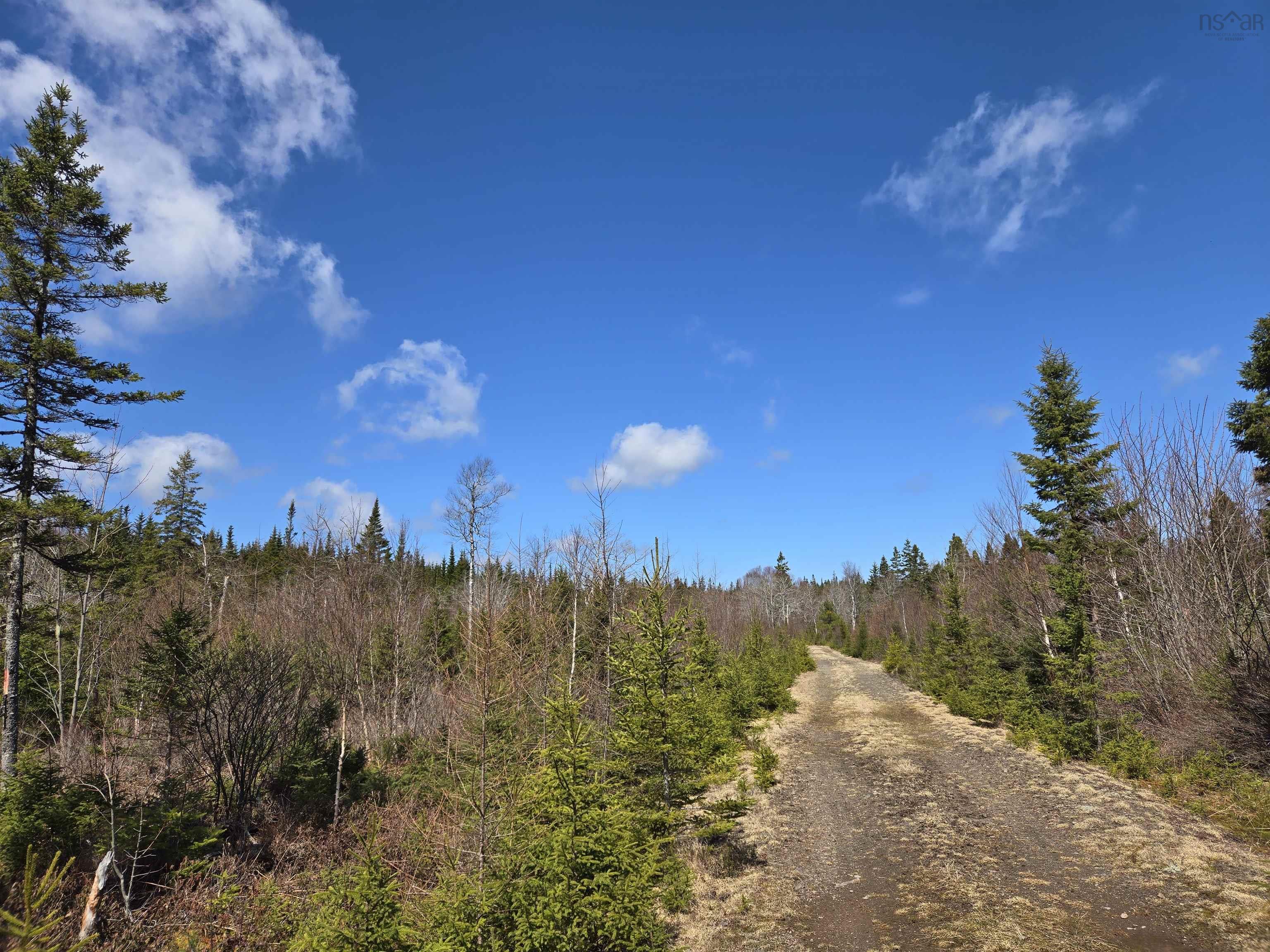 $28,900.00: Lot 14 Hill Street, French Cove