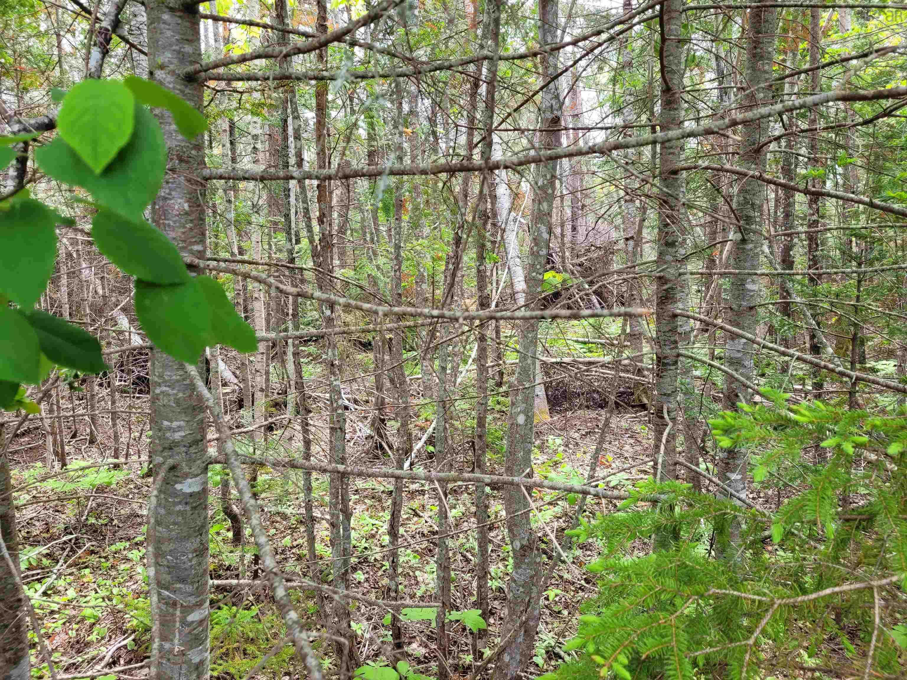 $140,500.00: Lot Tattrie Settlement Road, French River