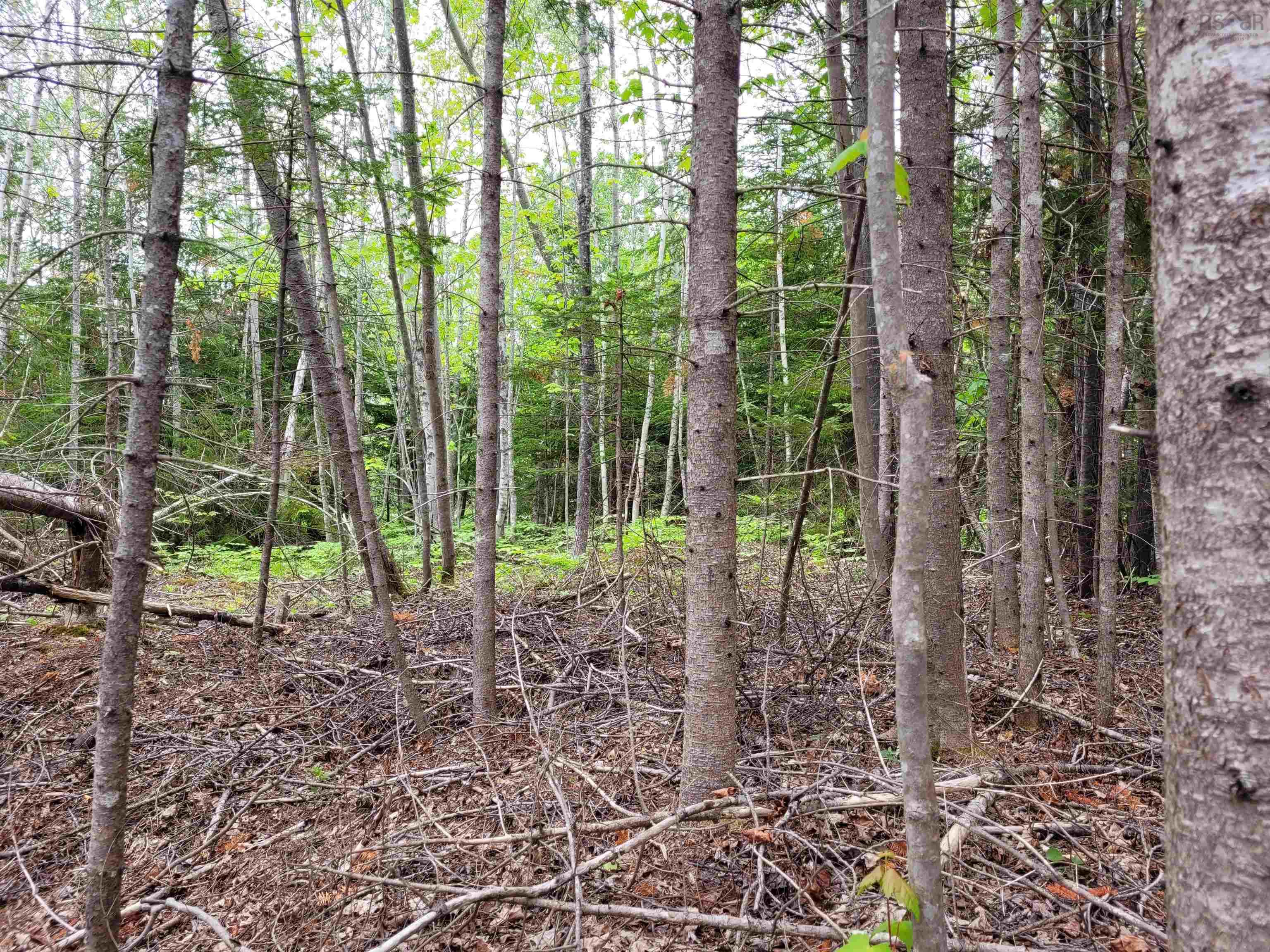 $140,500.00: Lot Tattrie Settlement Road, French River