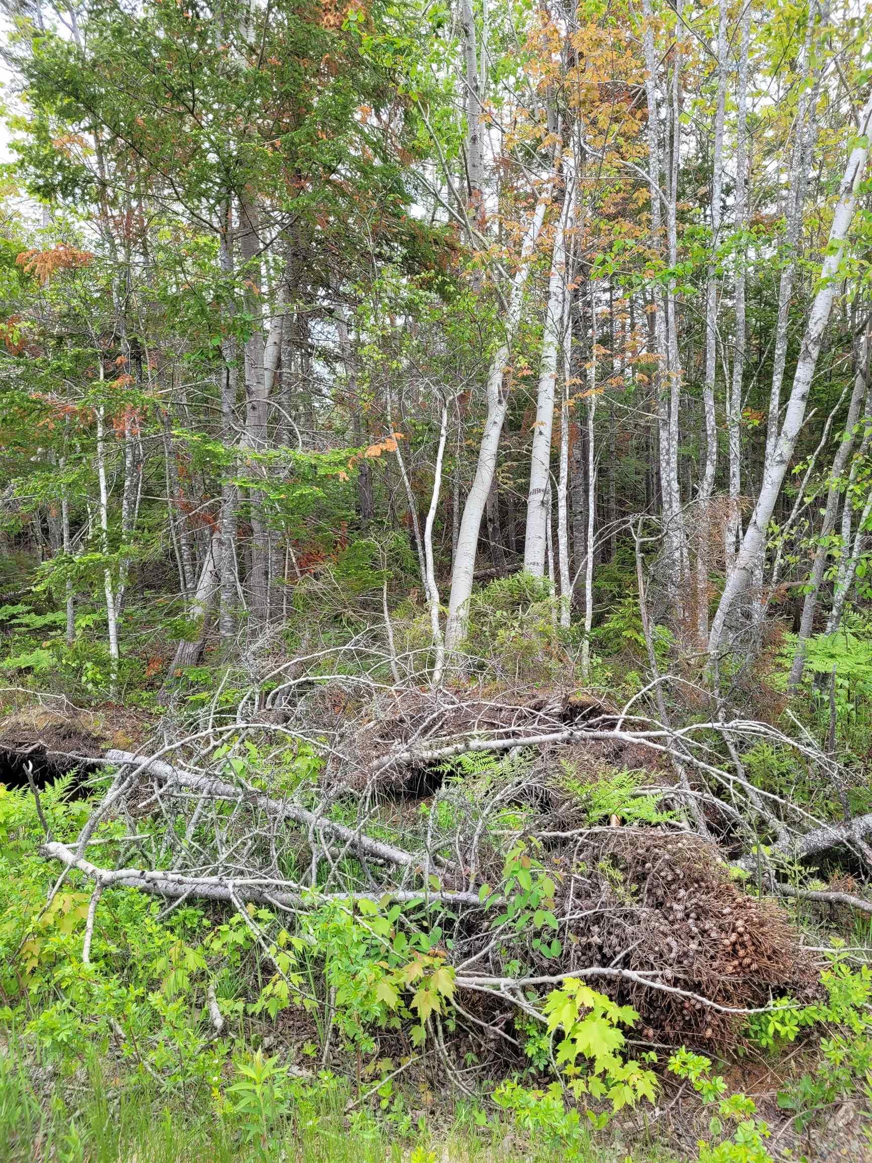 $140,500.00: Lot Tattrie Settlement Road, French River