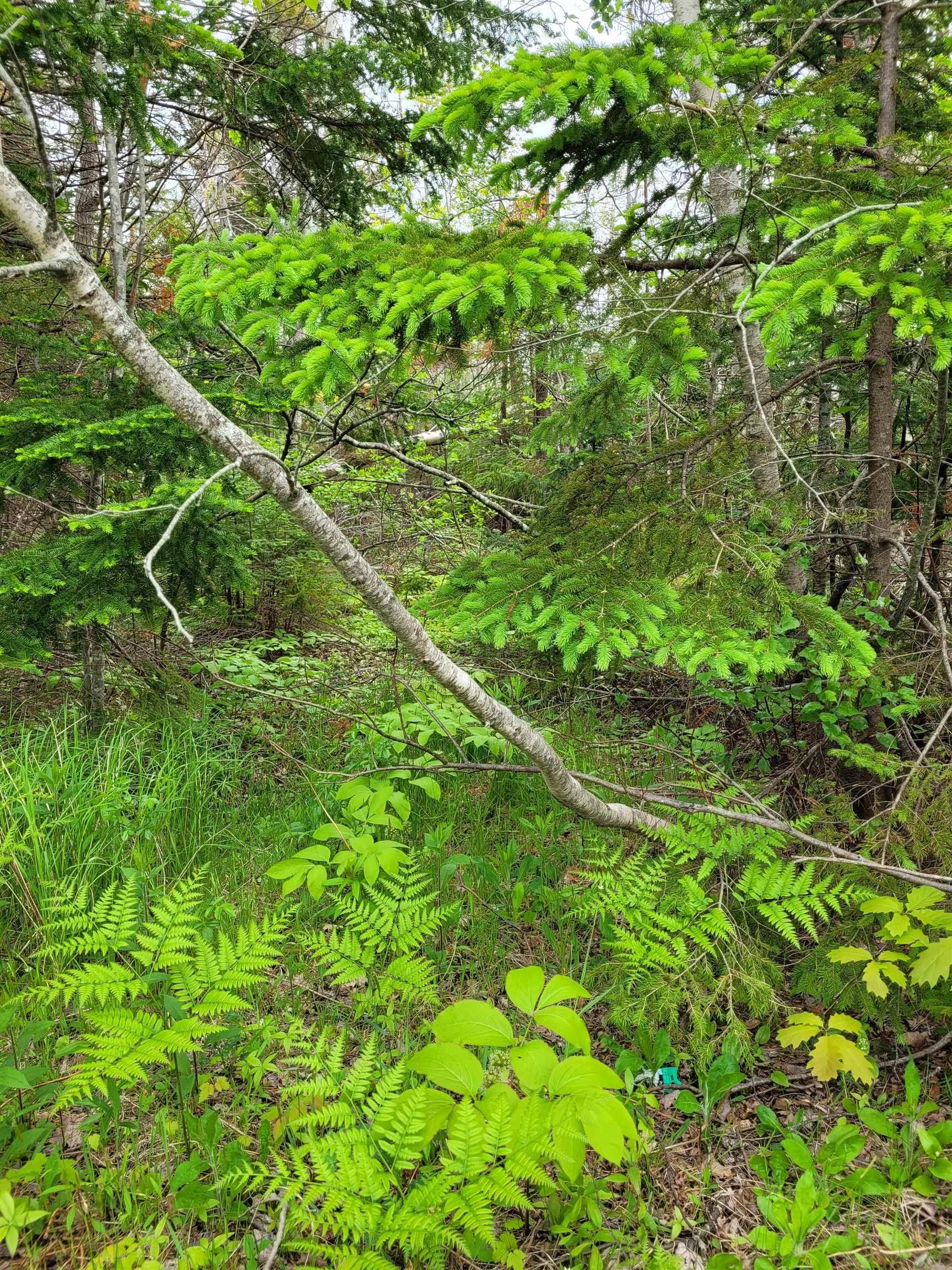 $140,500.00: Lot Tattrie Settlement Road, French River