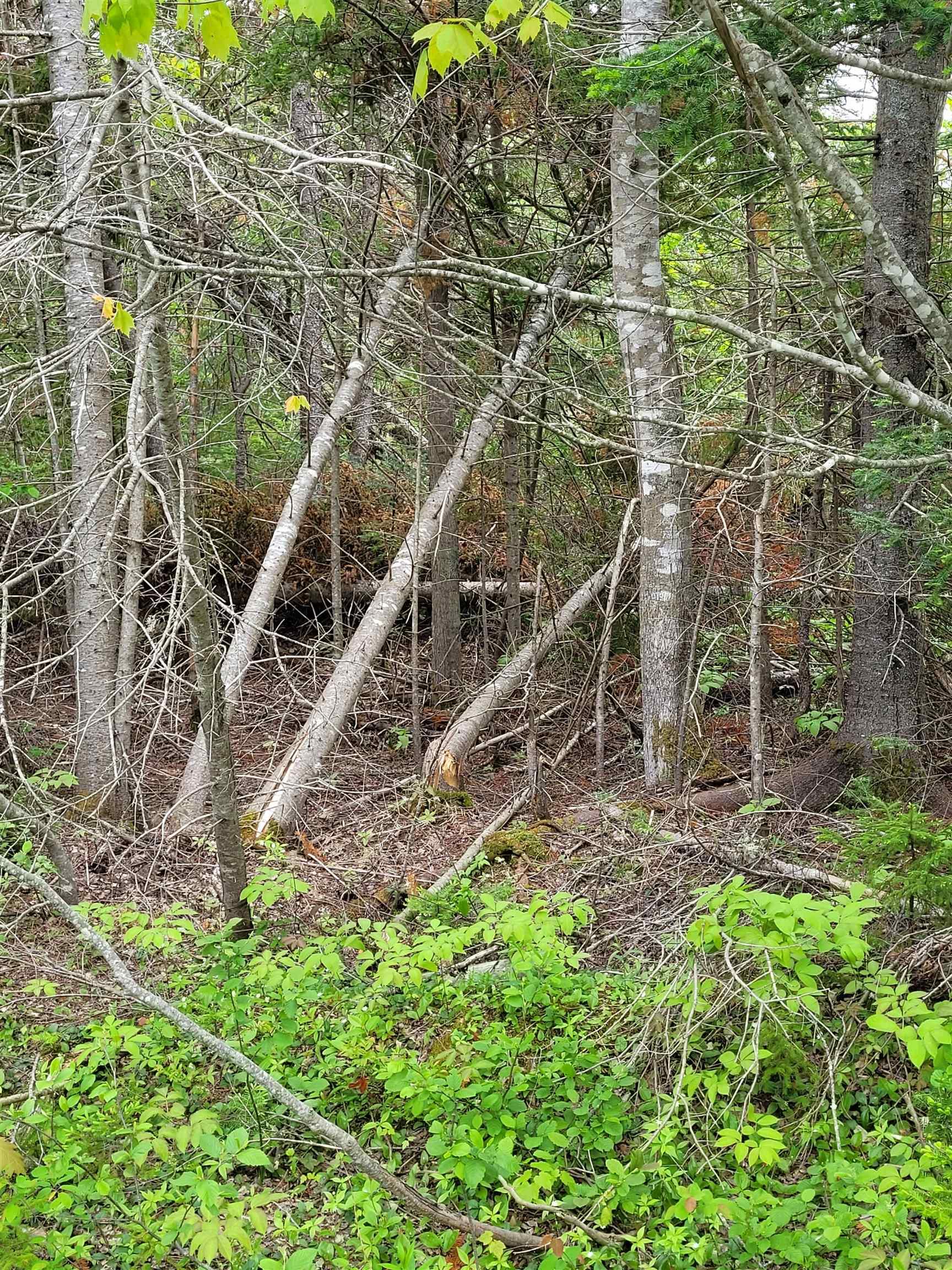 $140,500.00: Lot 2 Tattrie Settlement Road, French River