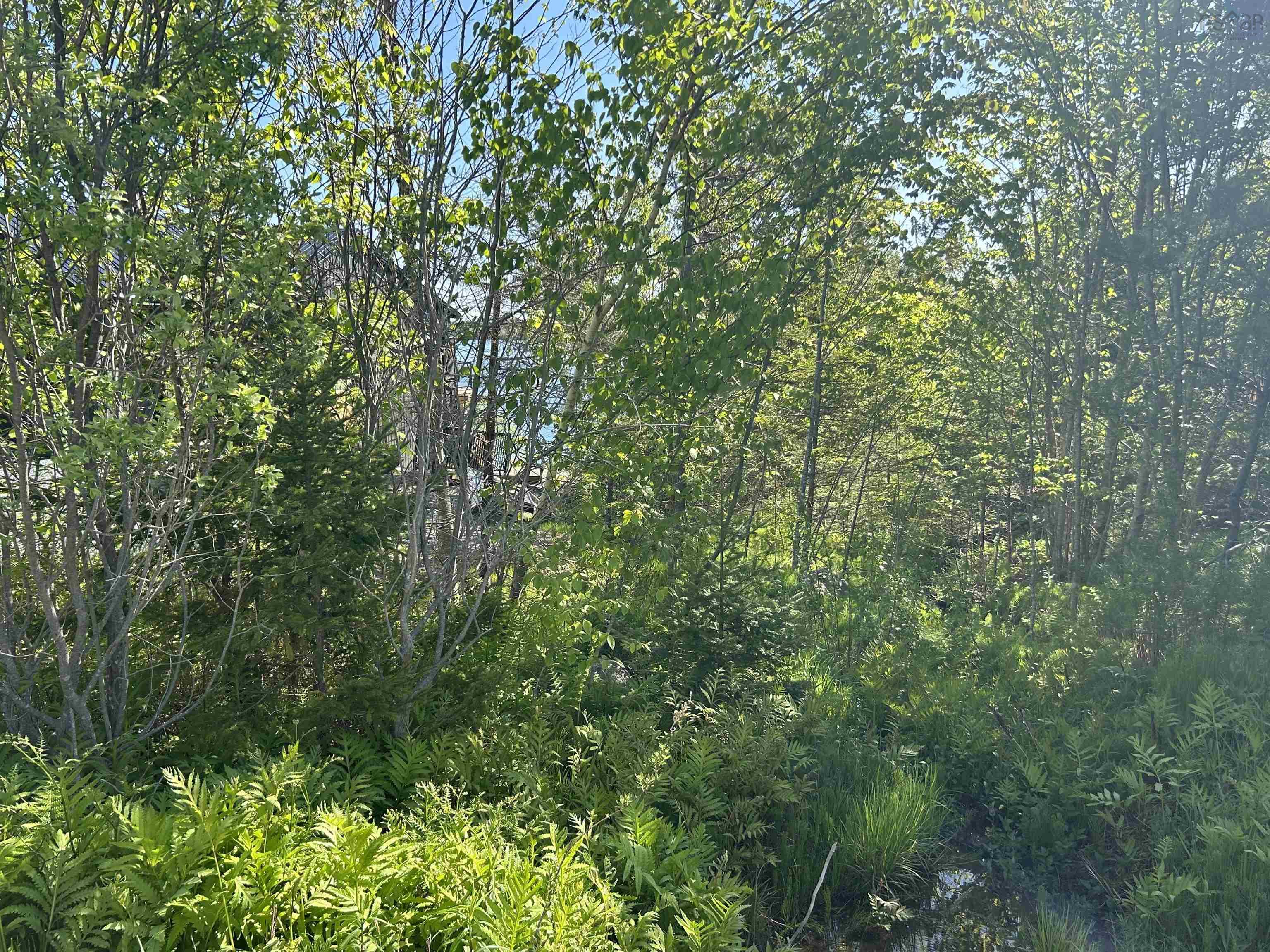 $175,000.00: 0 East Bay Highway, Big Pond Centre