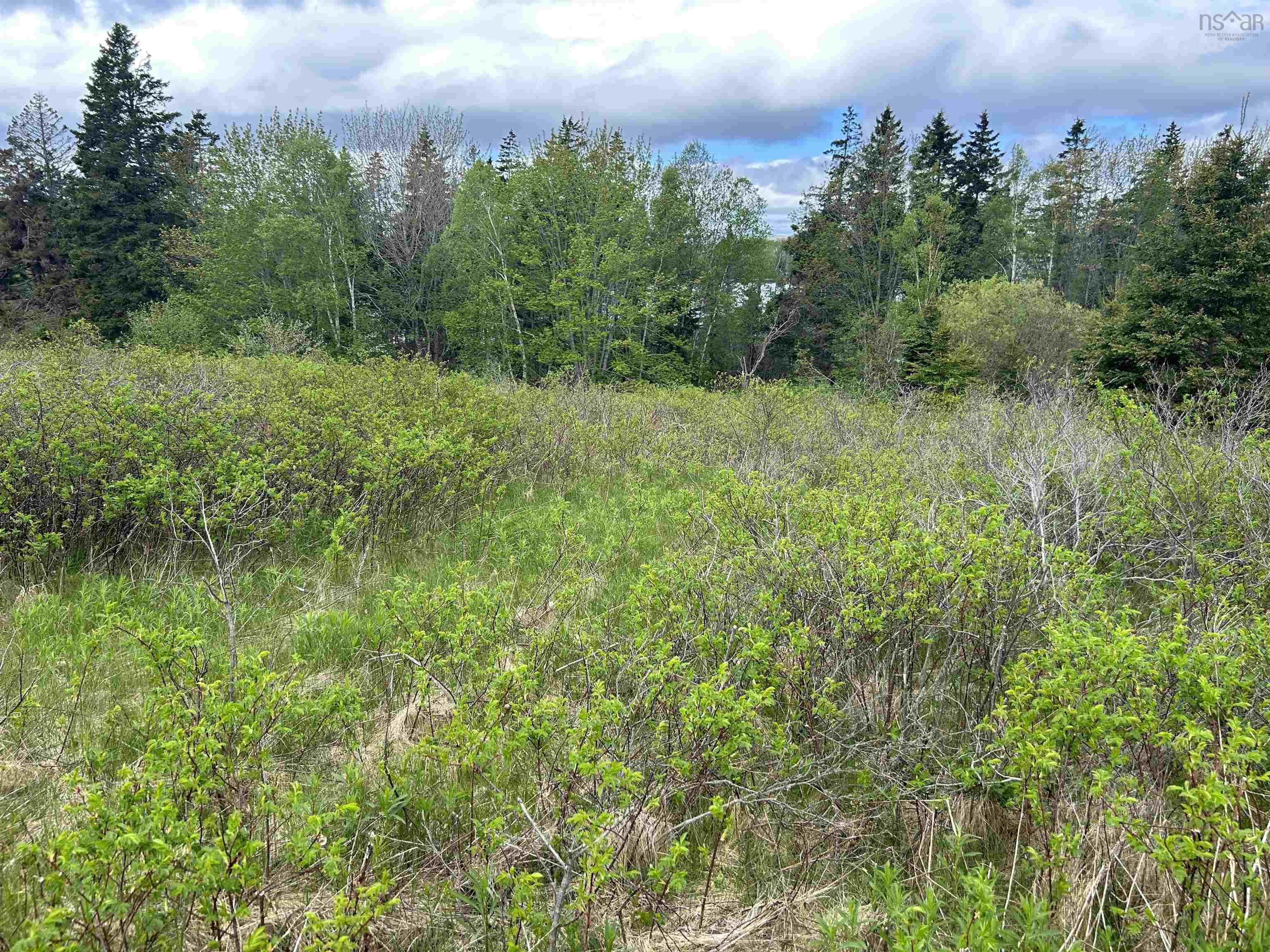 $175,000.00: 0 East Bay Highway, Big Pond Centre
