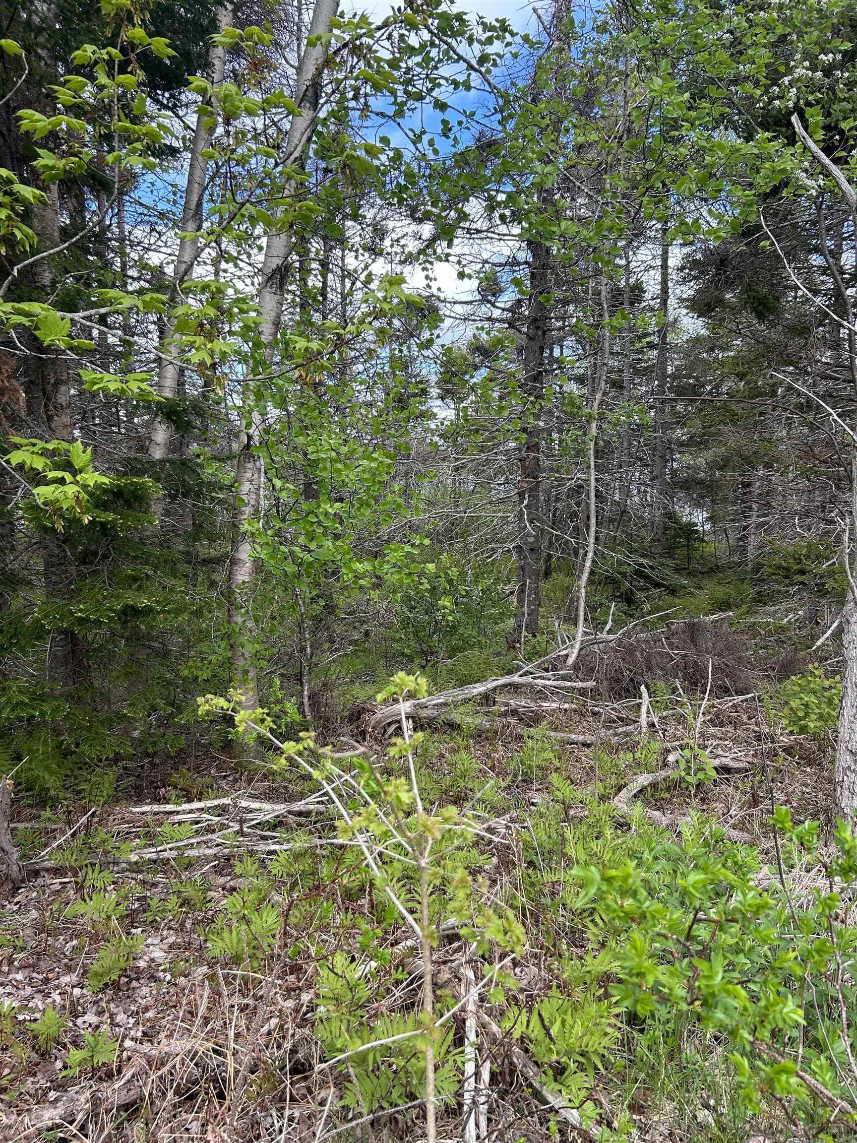 $175,000.00: 0 East Bay Highway, Big Pond Centre