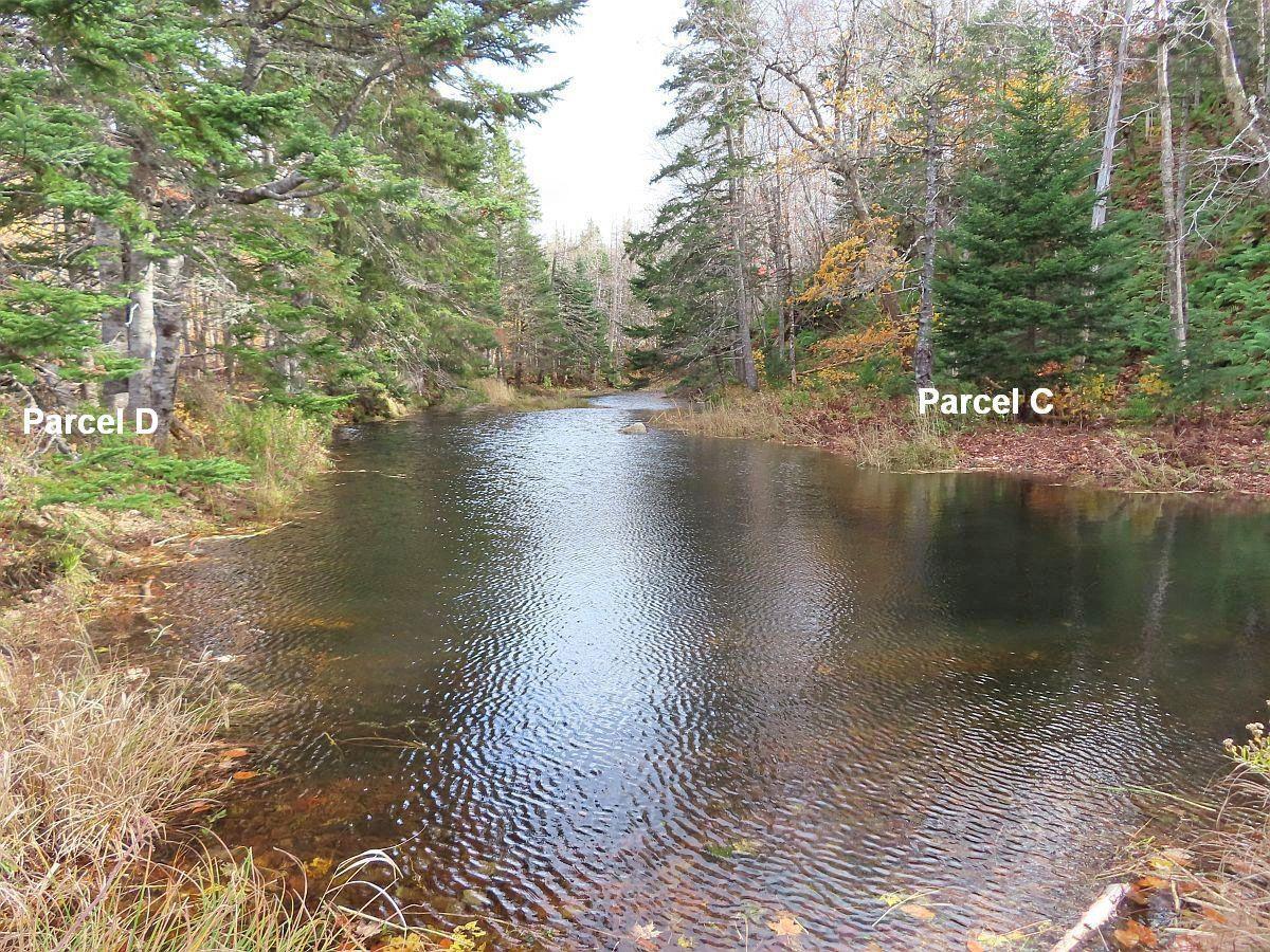 $110,000.00: 3 Lots Gold River Road, Upper Middle River