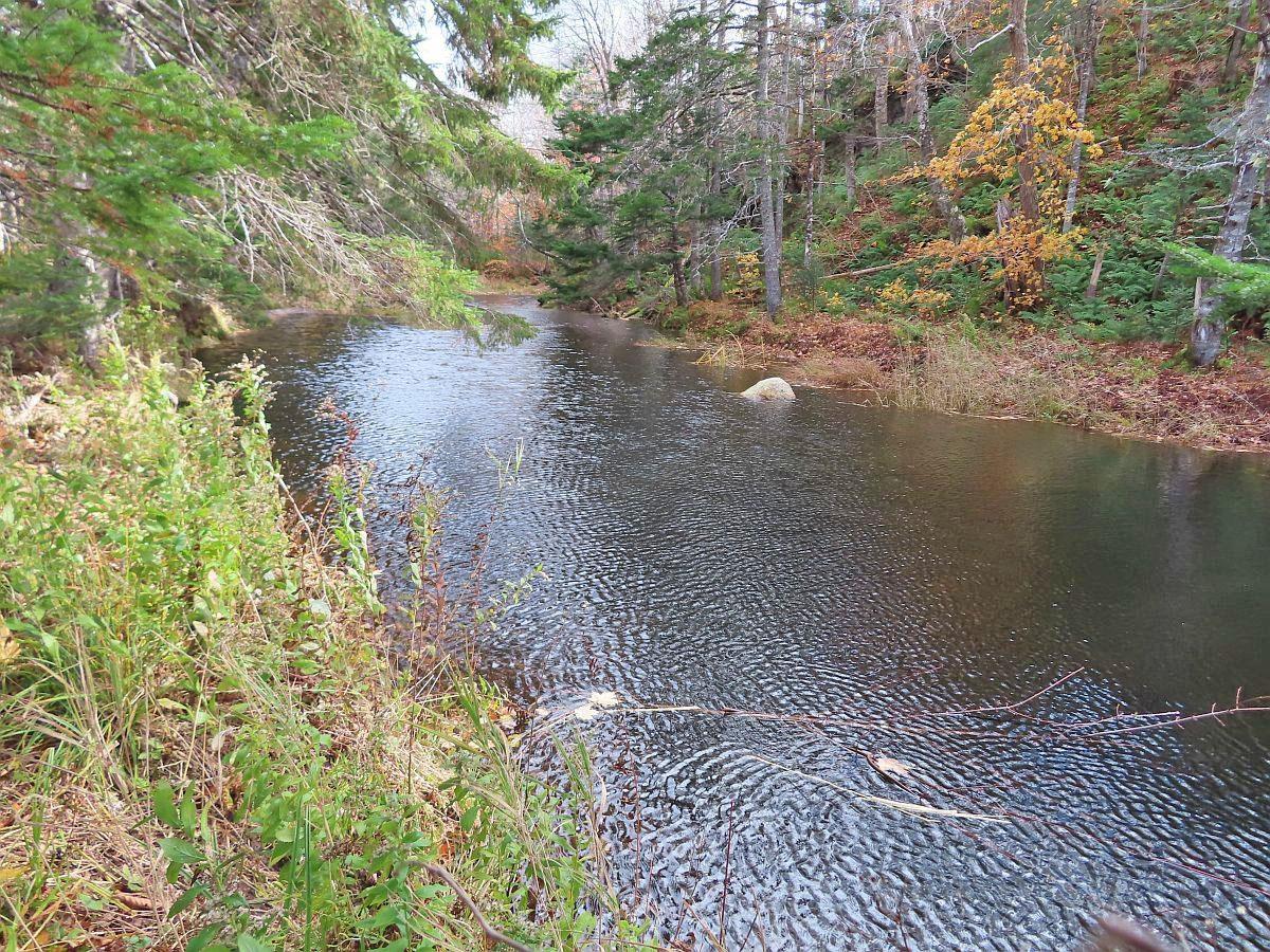 $110,000.00: 3 Lots Gold River Road, Upper Middle River
