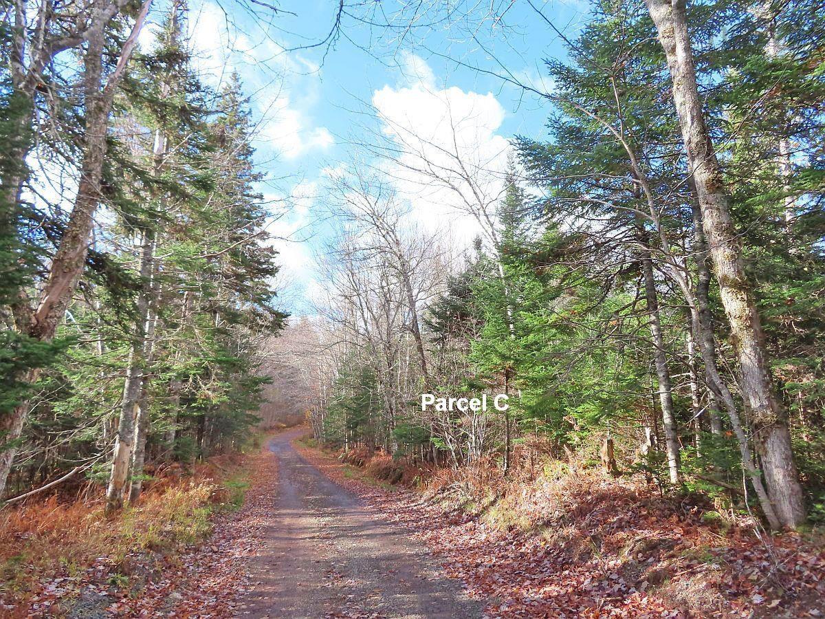 $110,000.00: 3 Lots Gold River Road, Upper Middle River