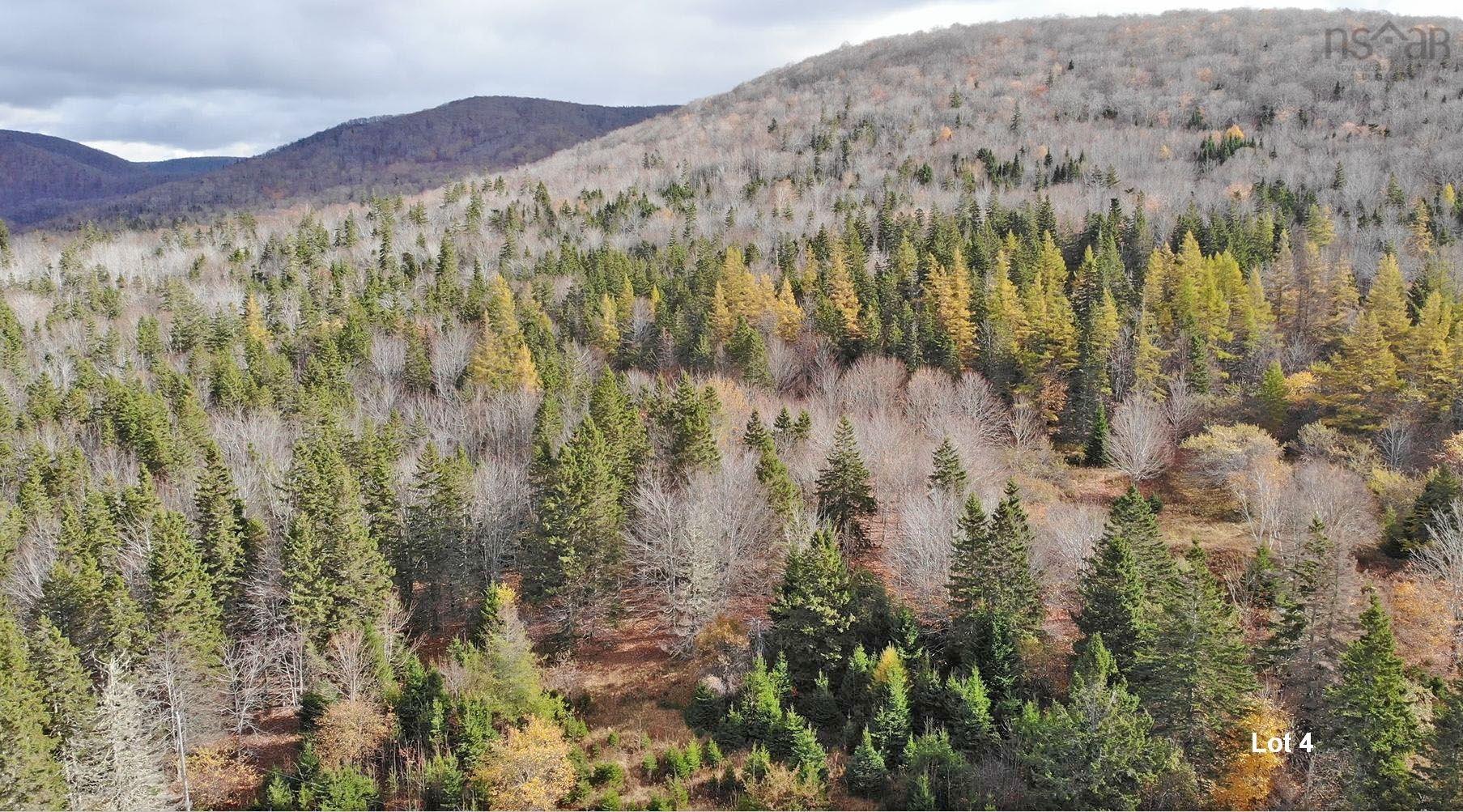 $110,000.00: 3 Lots Gold River Road, Upper Middle River