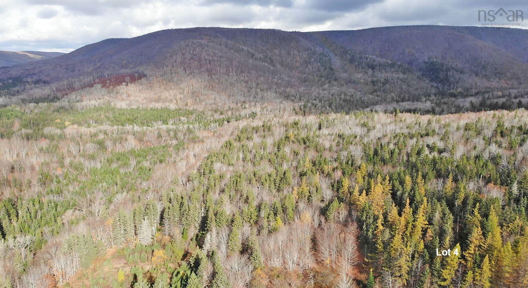 $110,000.00: 3 Lots Gold River Road, Upper Middle River