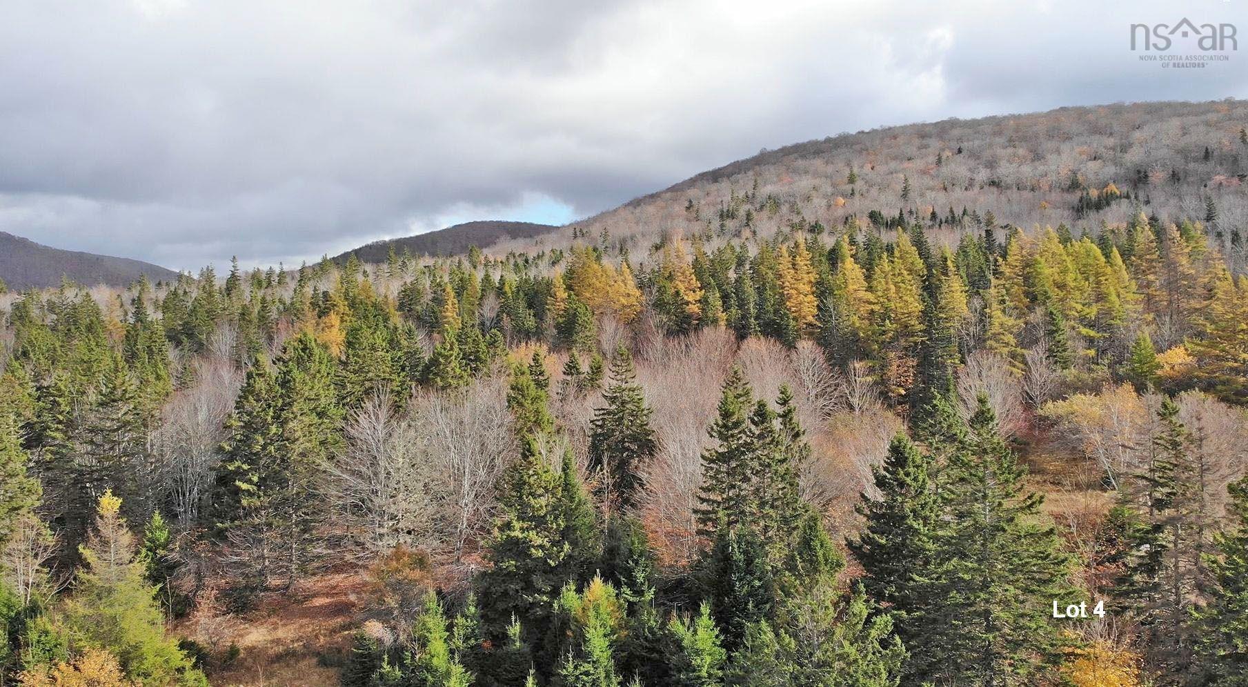 $110,000.00: 3 Lots Gold River Road, Upper Middle River