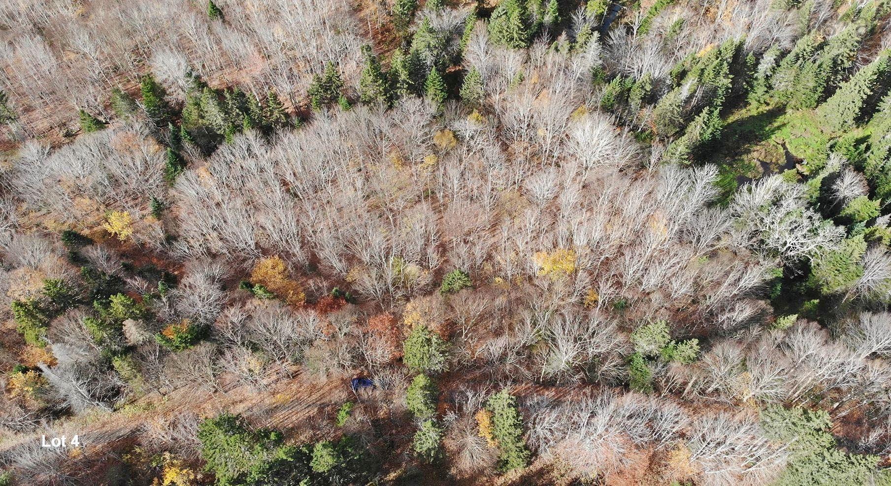 $110,000.00: 3 Lots Gold River Road, Upper Middle River