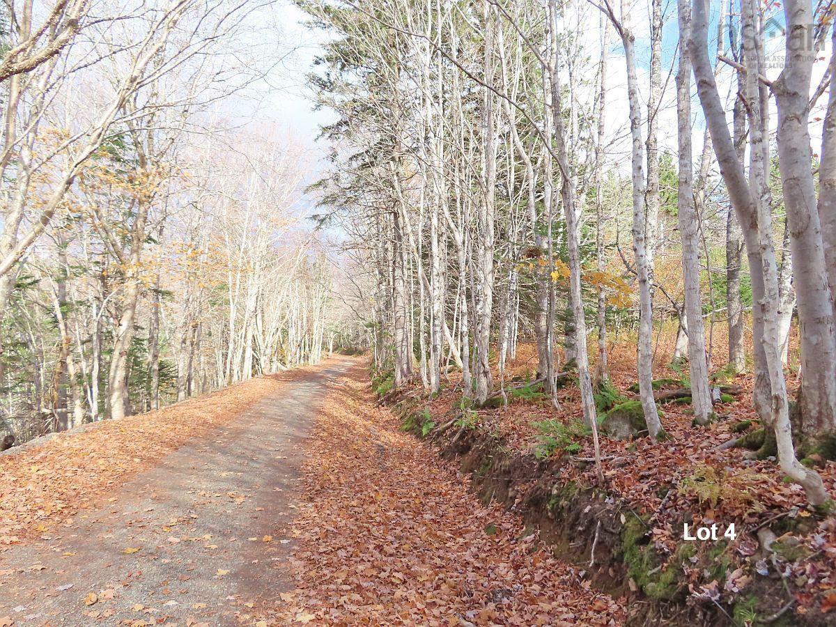 $110,000.00: 3 Lots Gold River Road, Upper Middle River