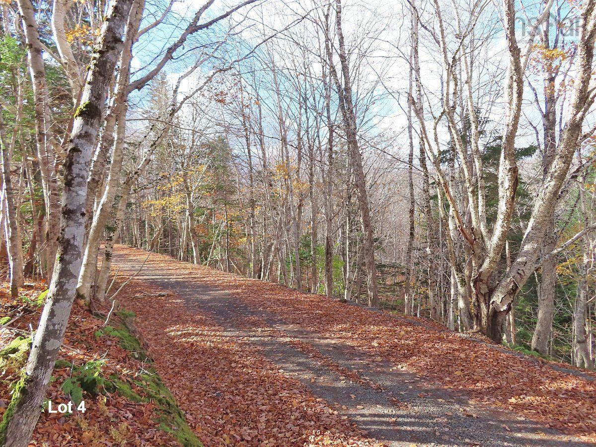 $110,000.00: 3 Lots Gold River Road, Upper Middle River