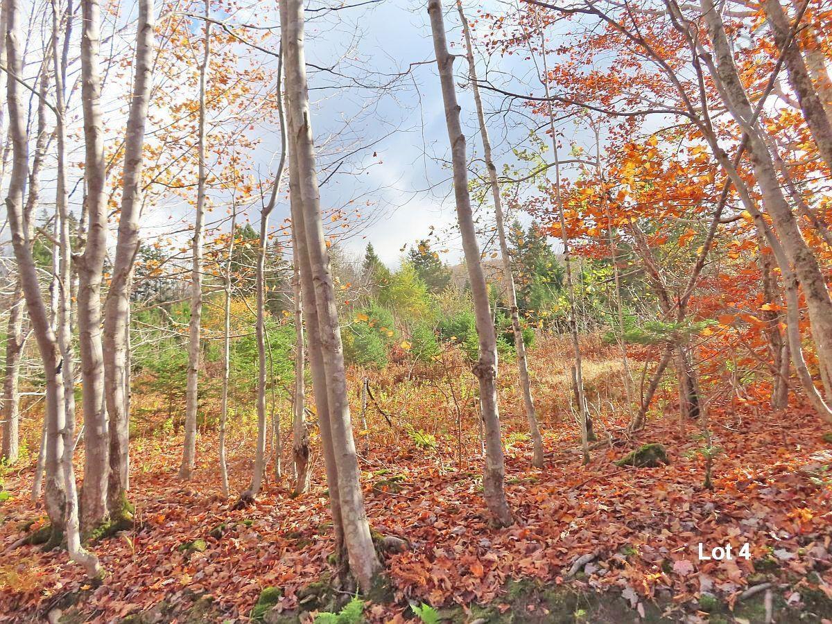 $110,000.00: 3 Lots Gold River Road, Upper Middle River