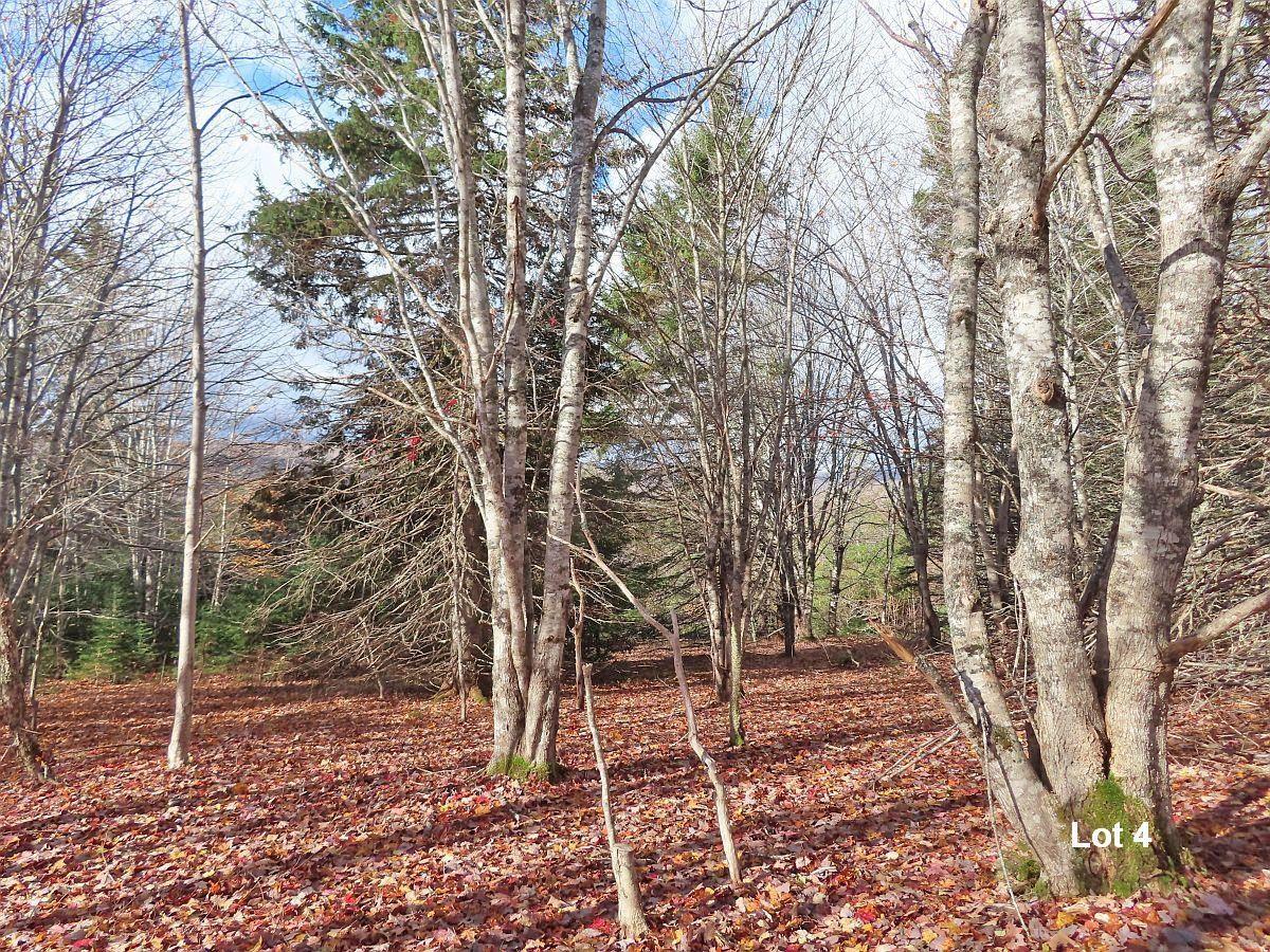 $110,000.00: 3 Lots Gold River Road, Upper Middle River
