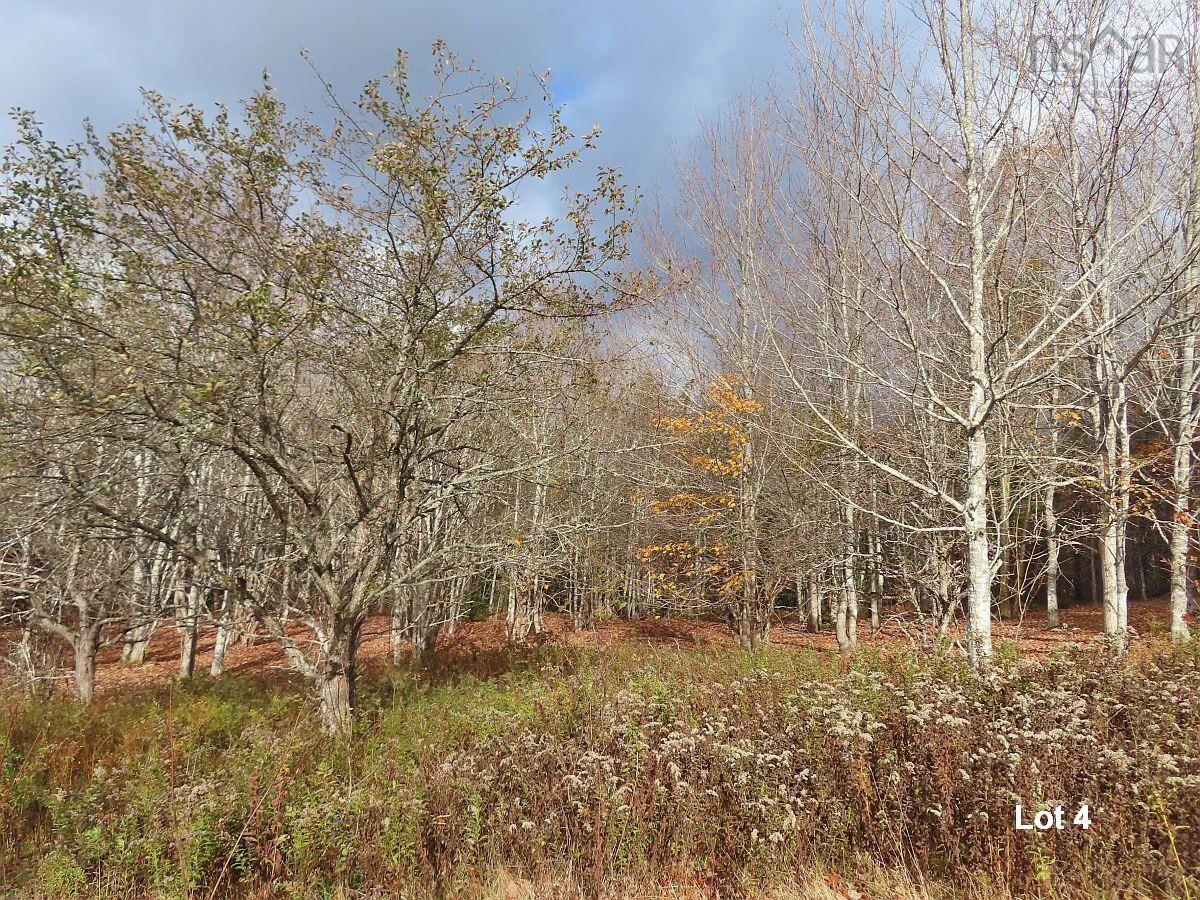 $110,000.00: 3 Lots Gold River Road, Upper Middle River