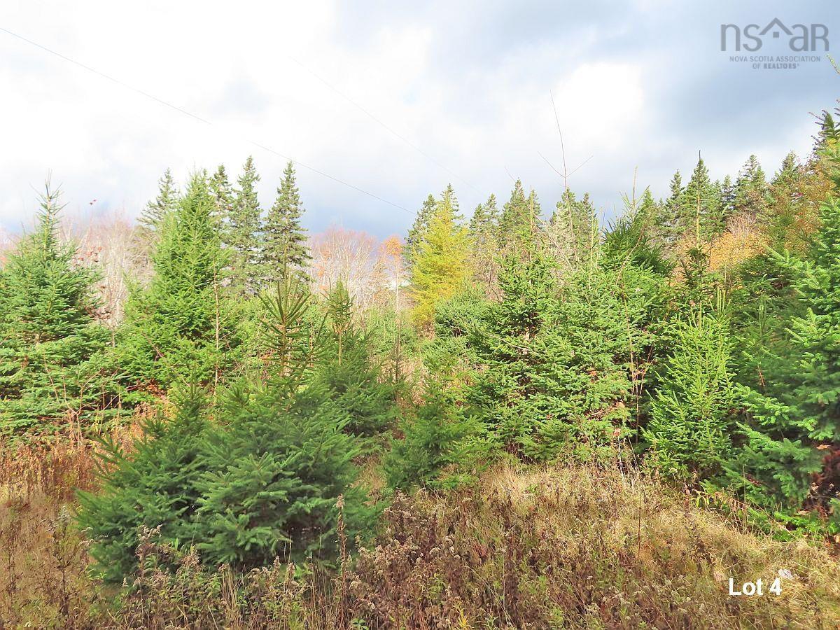 $110,000.00: 3 Lots Gold River Road, Upper Middle River