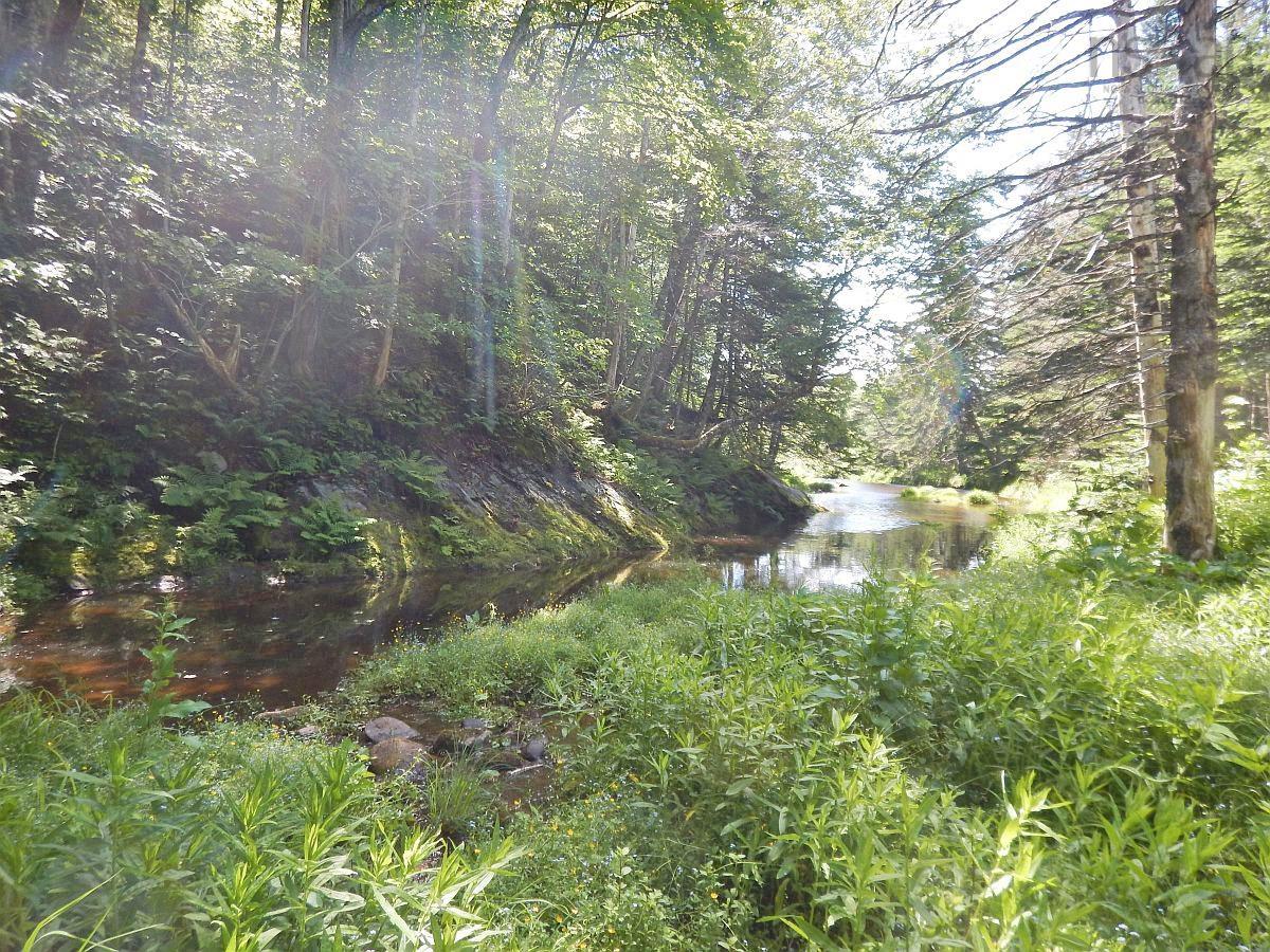 $110,000.00: 3 Lots Gold River Road, Upper Middle River