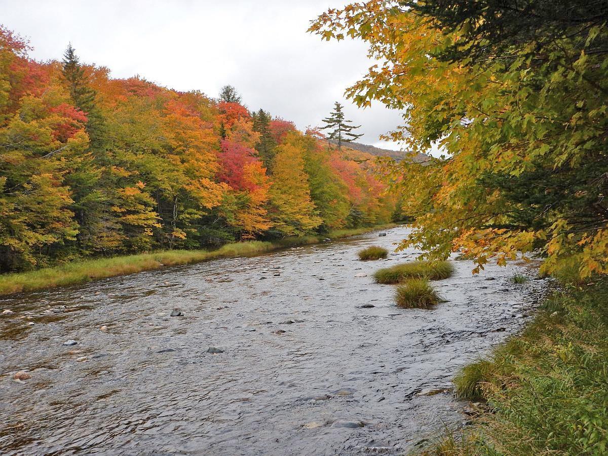 $110,000.00: 3 Lots Gold River Road, Upper Middle River