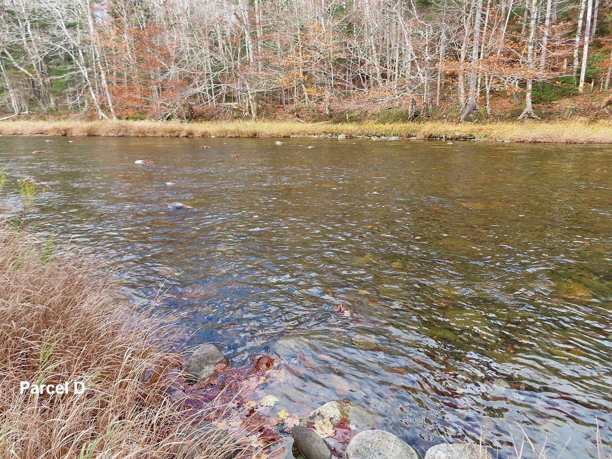$110,000.00: 3 Lots Gold River Road, Upper Middle River