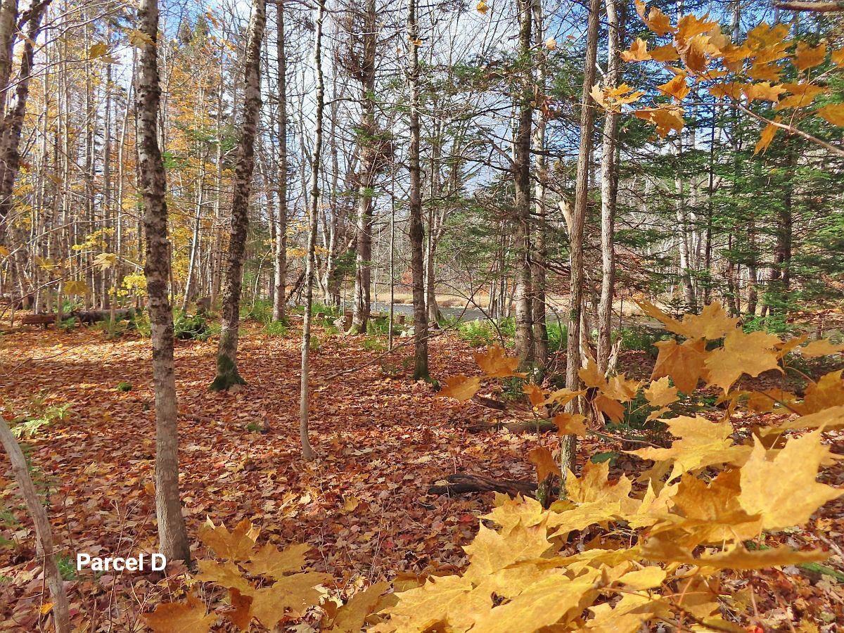 $110,000.00: 3 Lots Gold River Road, Upper Middle River