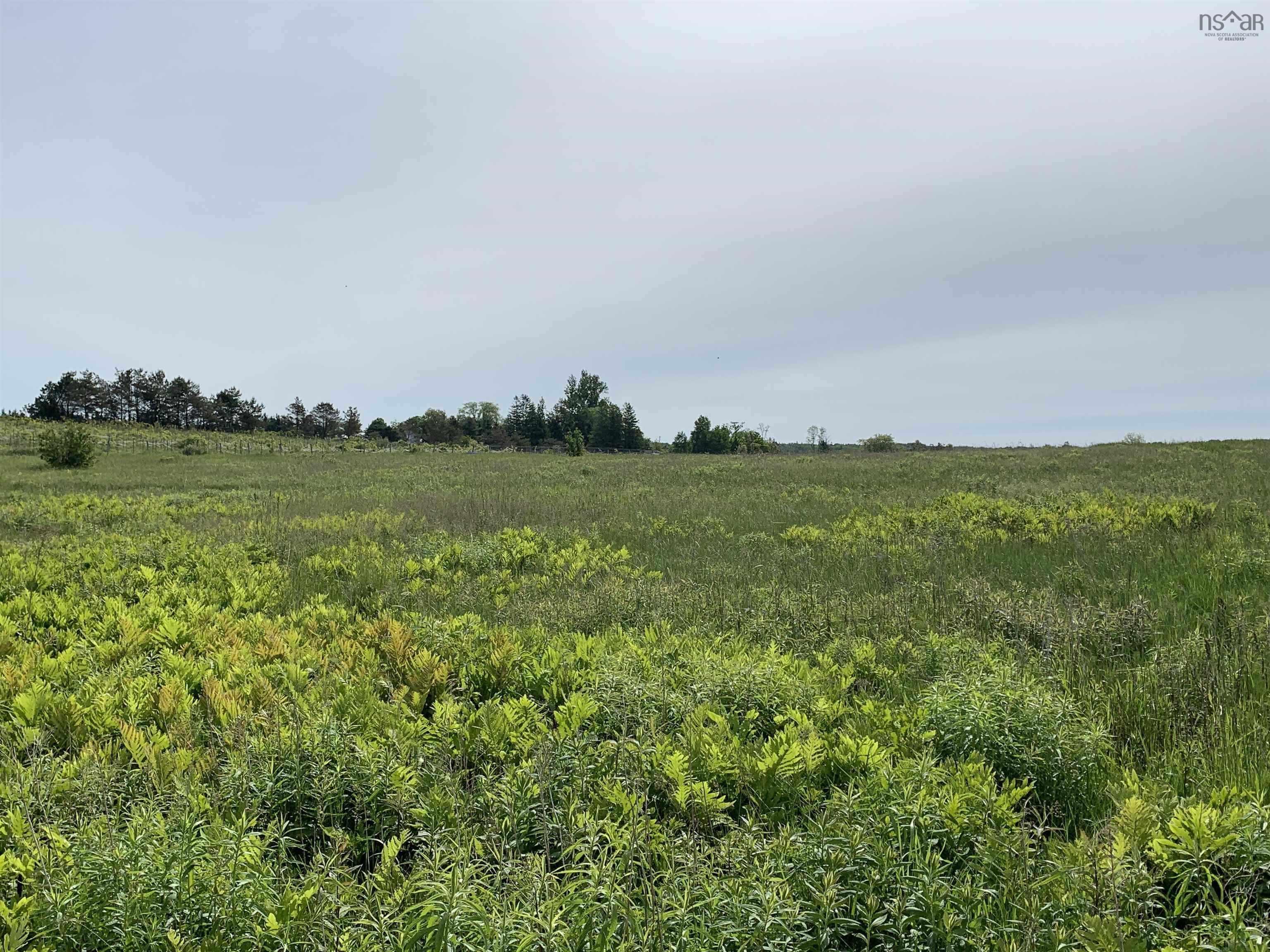$150,000.00: 4 acre lot Highway 215, Kempt Shore