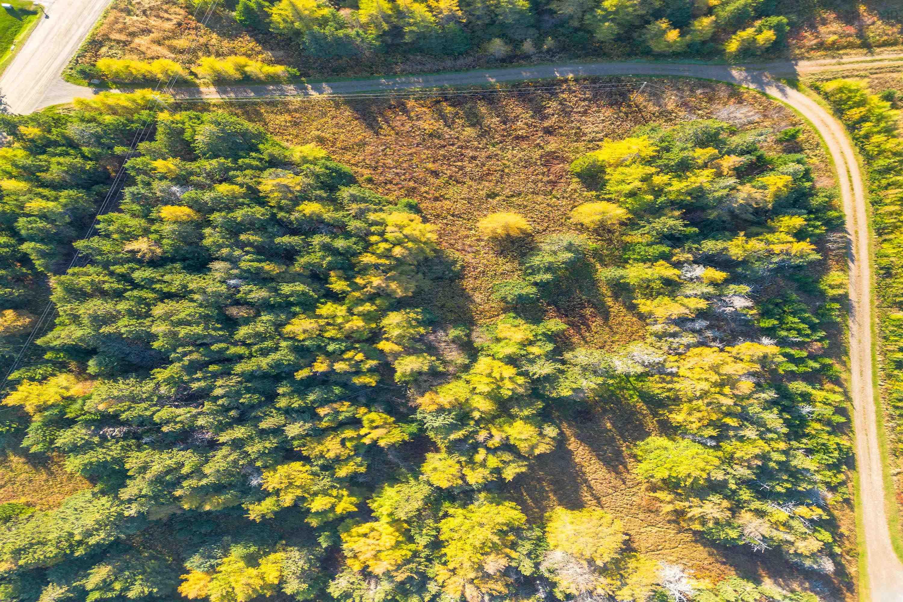 $499,999.00: Lot 4B Lower Shore Road, Little Judique