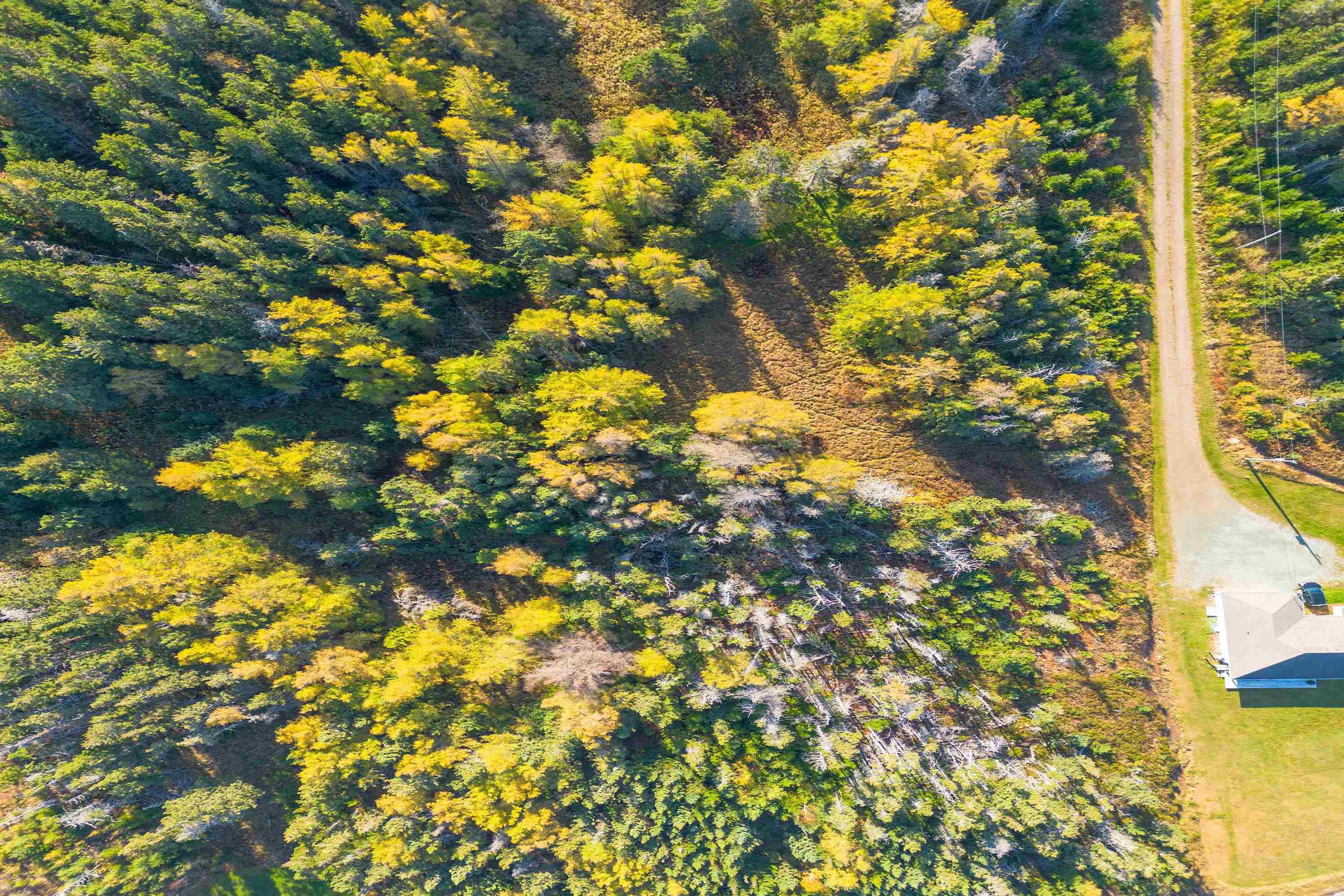 $499,999.00: Lot 4B Lower Shore Road, Little Judique