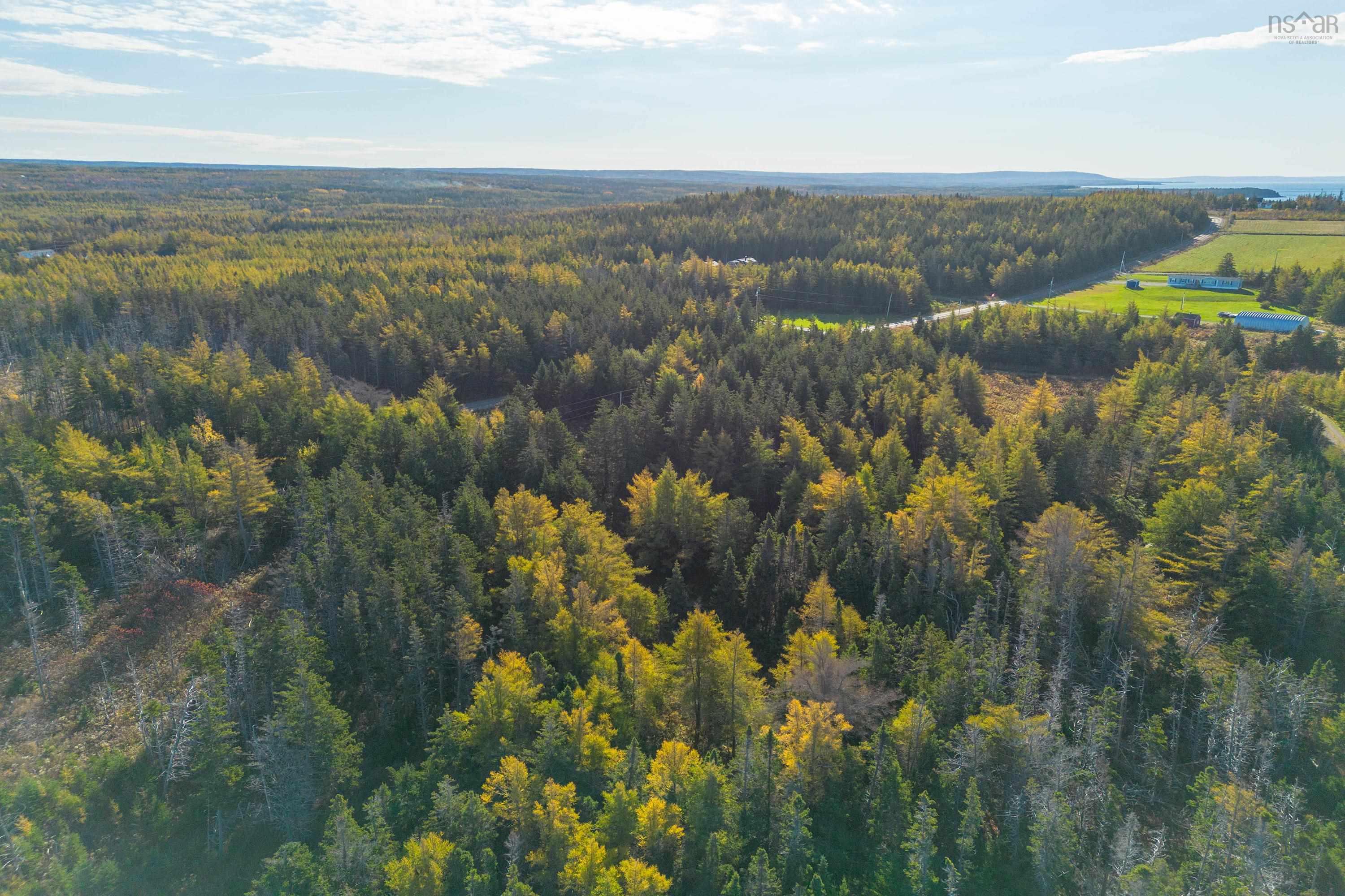 $499,999.00: Lot 4B Lower Shore Road, Little Judique