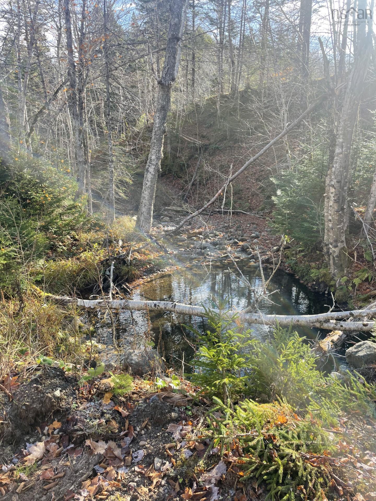 $175,000.00: lot River Denys Road, River Denys