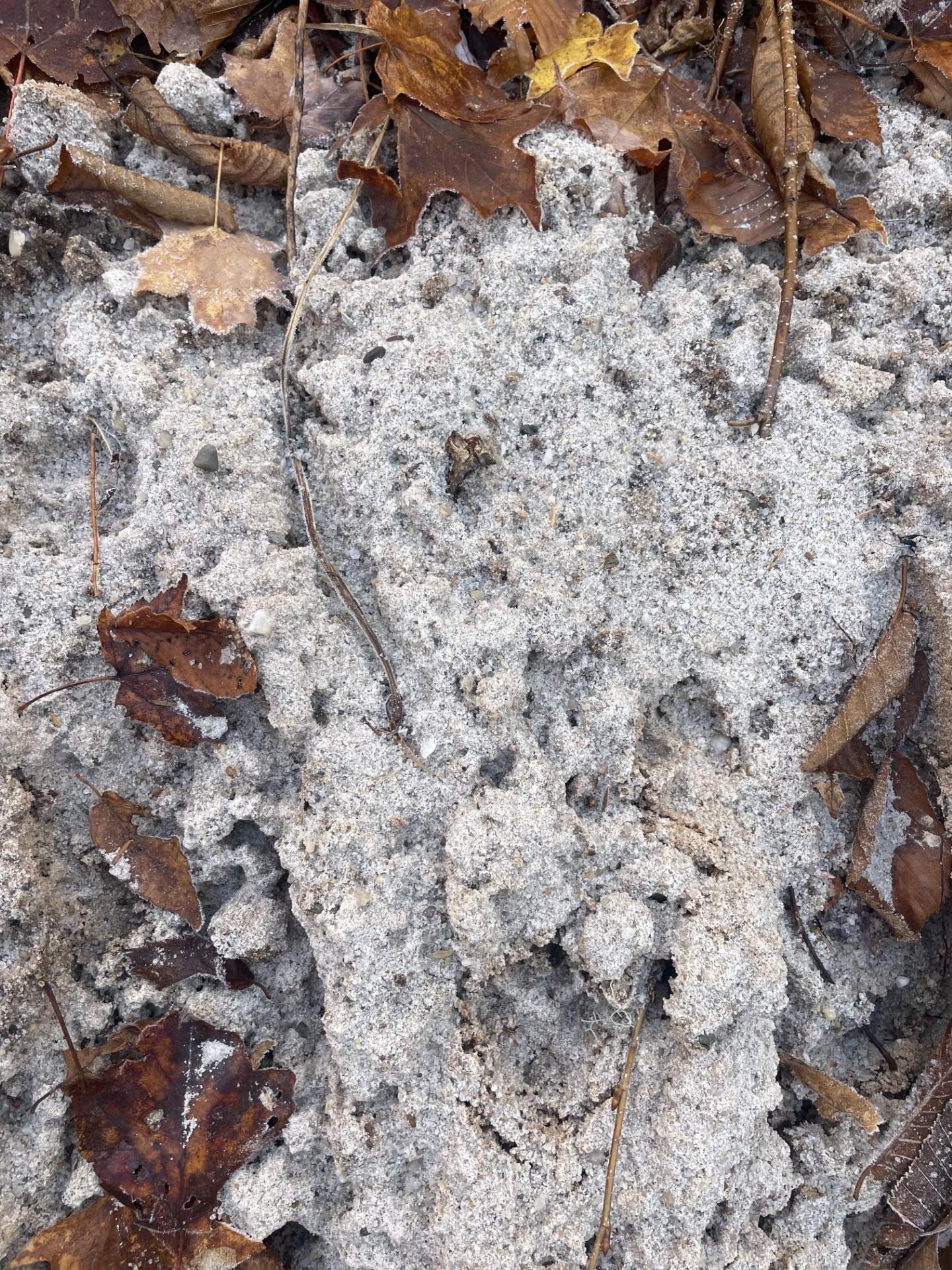 $175,000.00: lot River Denys Road, River Denys