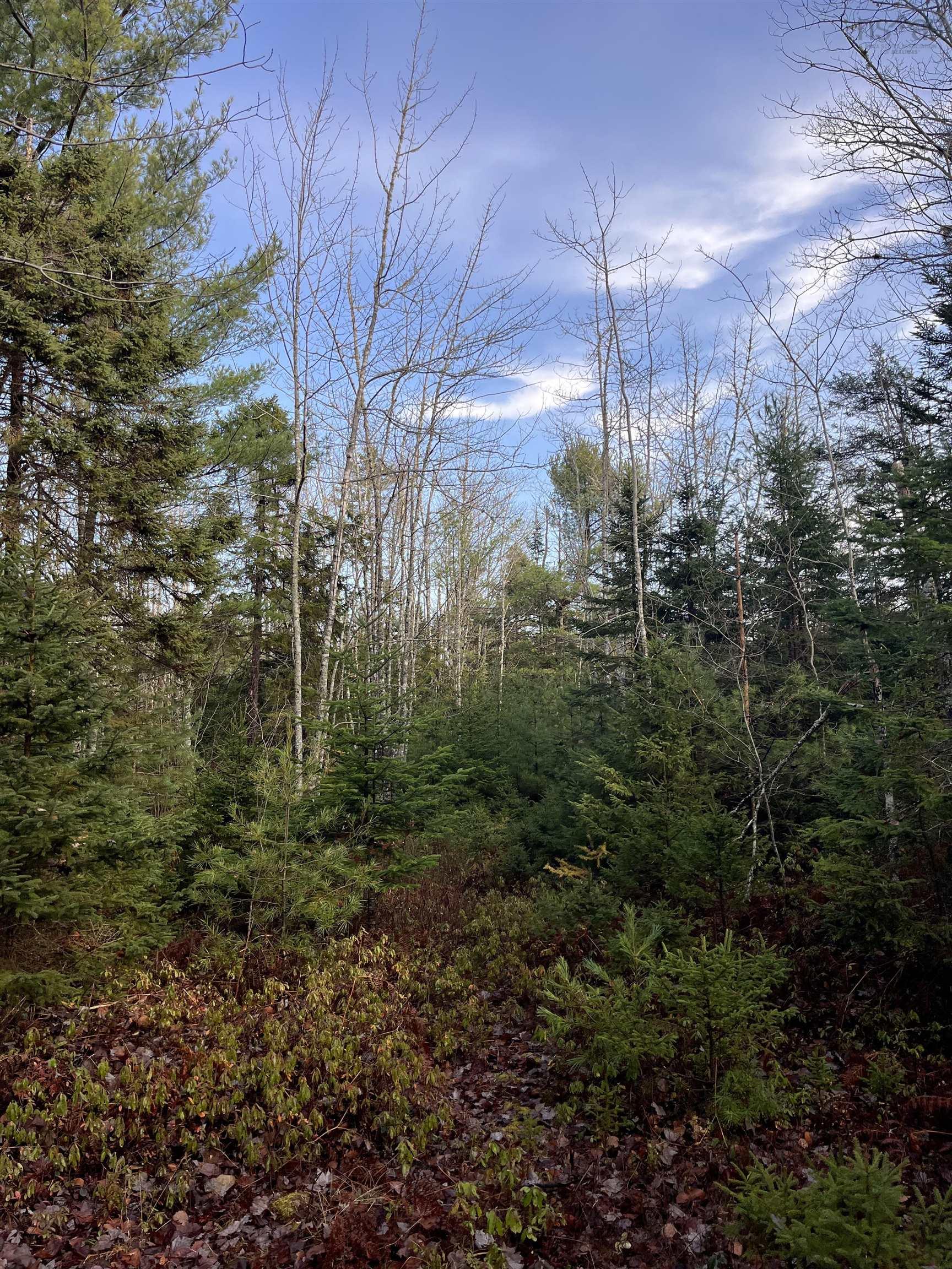 $872,850.00: 211 Bennie Muckle Road, Bramber