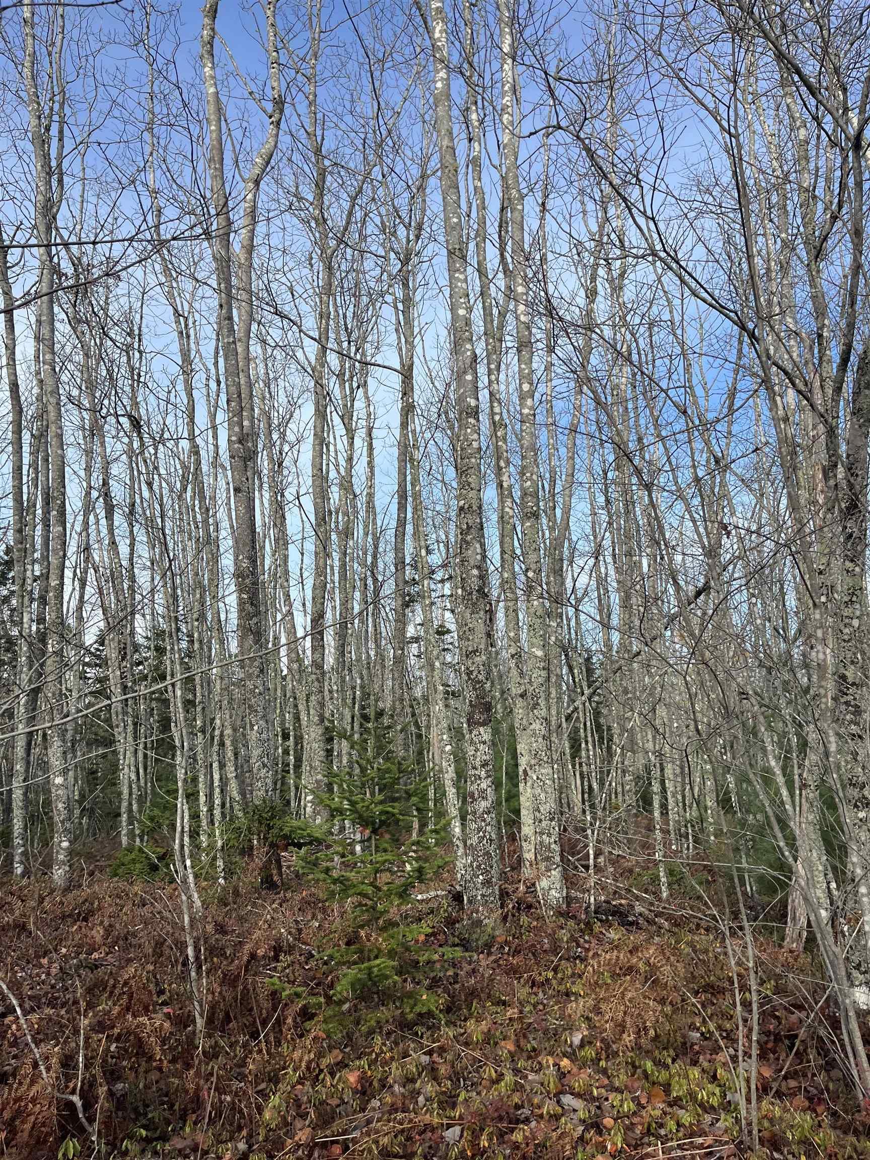 $872,850.00: 211 Bennie Muckle Road, Bramber