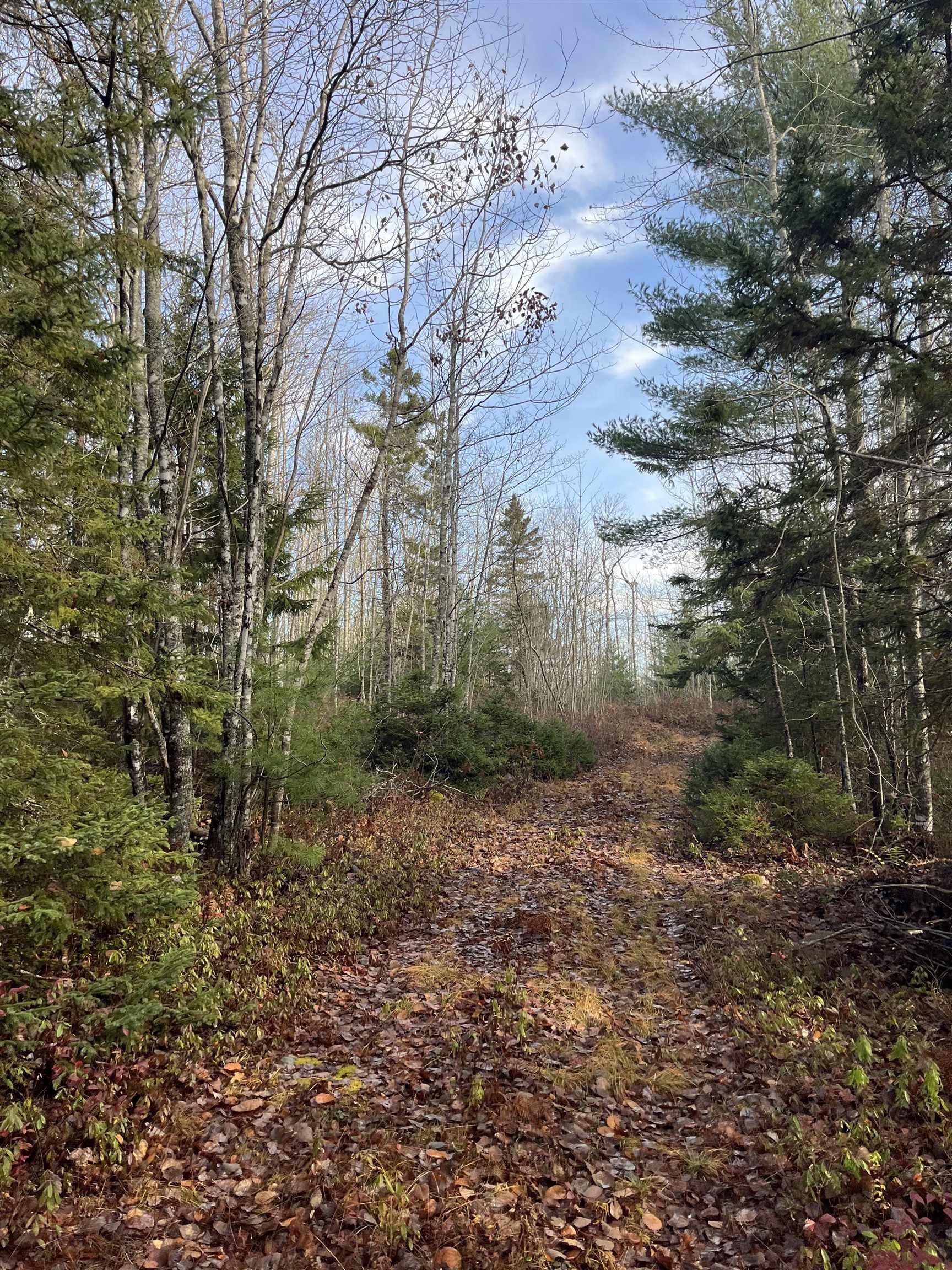 $872,850.00: 211 Bennie Muckle Road, Bramber