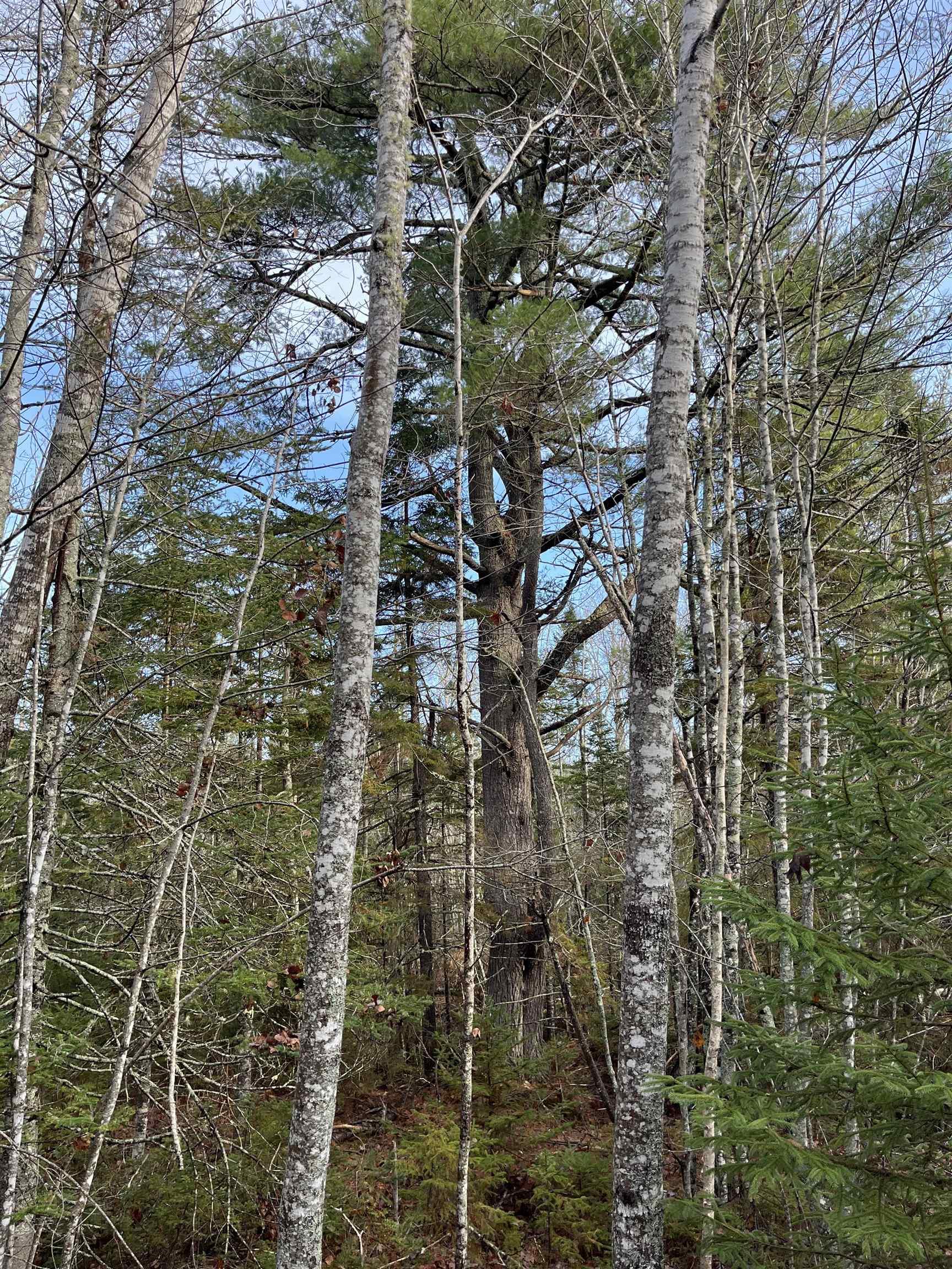 $872,850.00: 211 Bennie Muckle Road, Bramber
