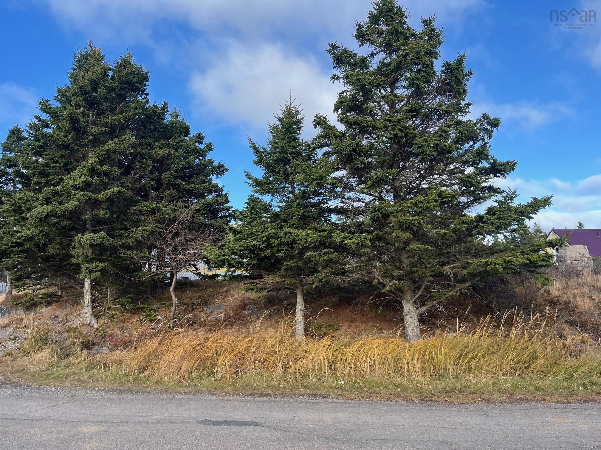 $179,000.00: Lot PID#60171535 Herring Rock Road, Blue Rocks