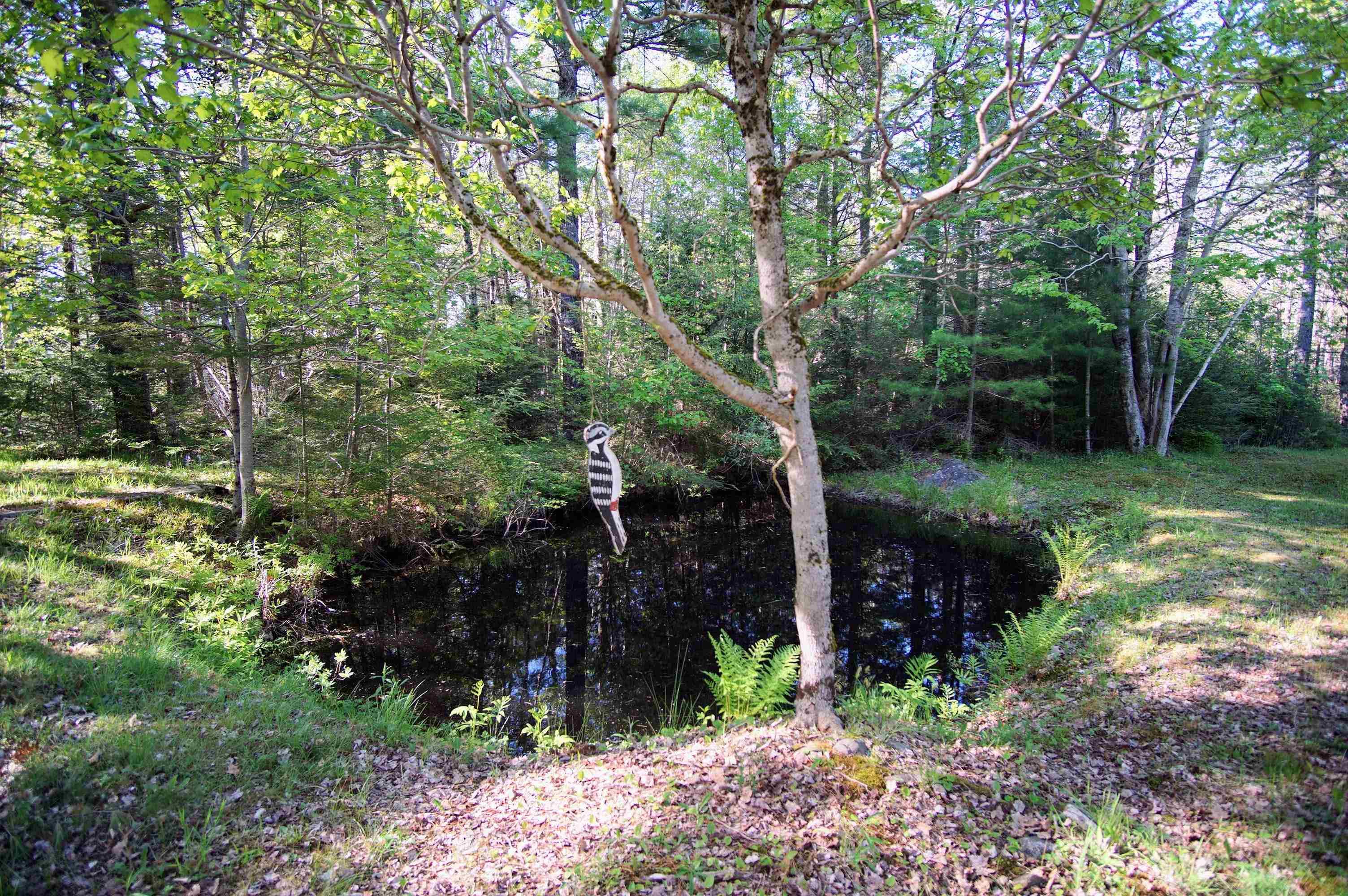 $219,000.00: 56 LONESOME HUNTERS INN Lane, Upper Ohio