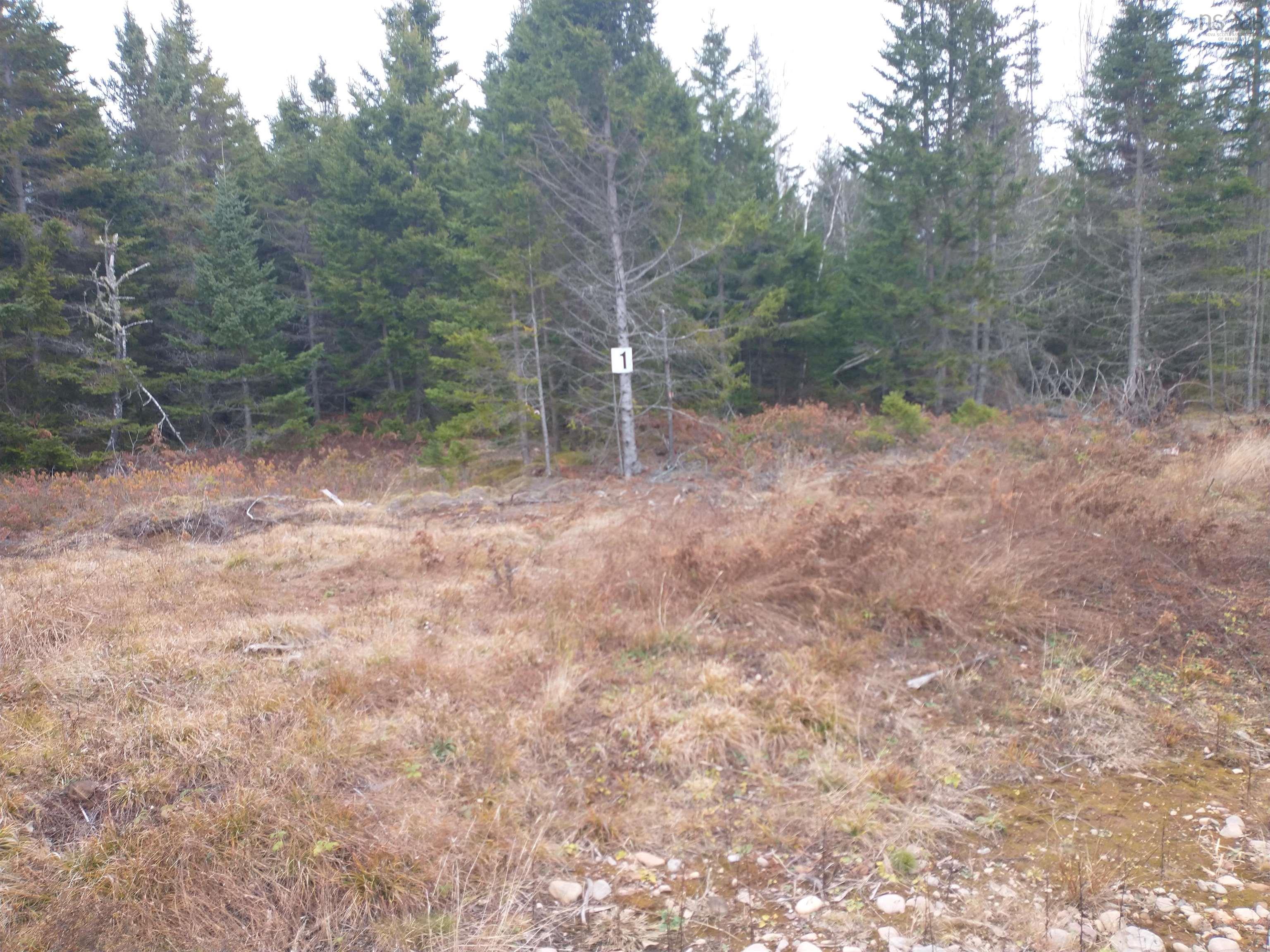 $37,500.00: LOT 1 DANCE HALL Lane, Portapique