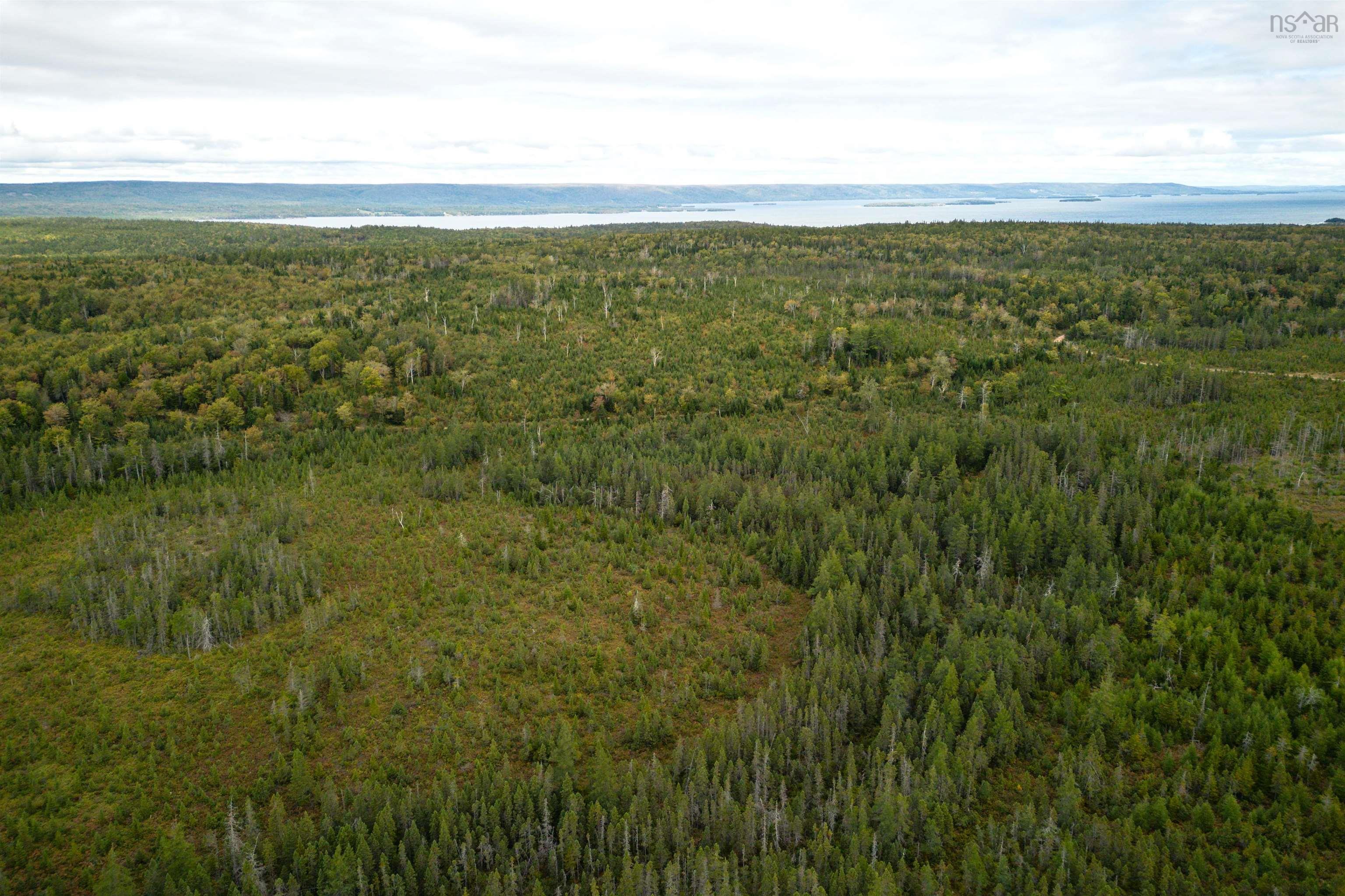 $22,500.00: 44 Acres Rear Black River Road, Grande Anse