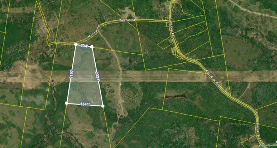 $22,500.00: 44 Acres Rear Black River Road, Grande Anse