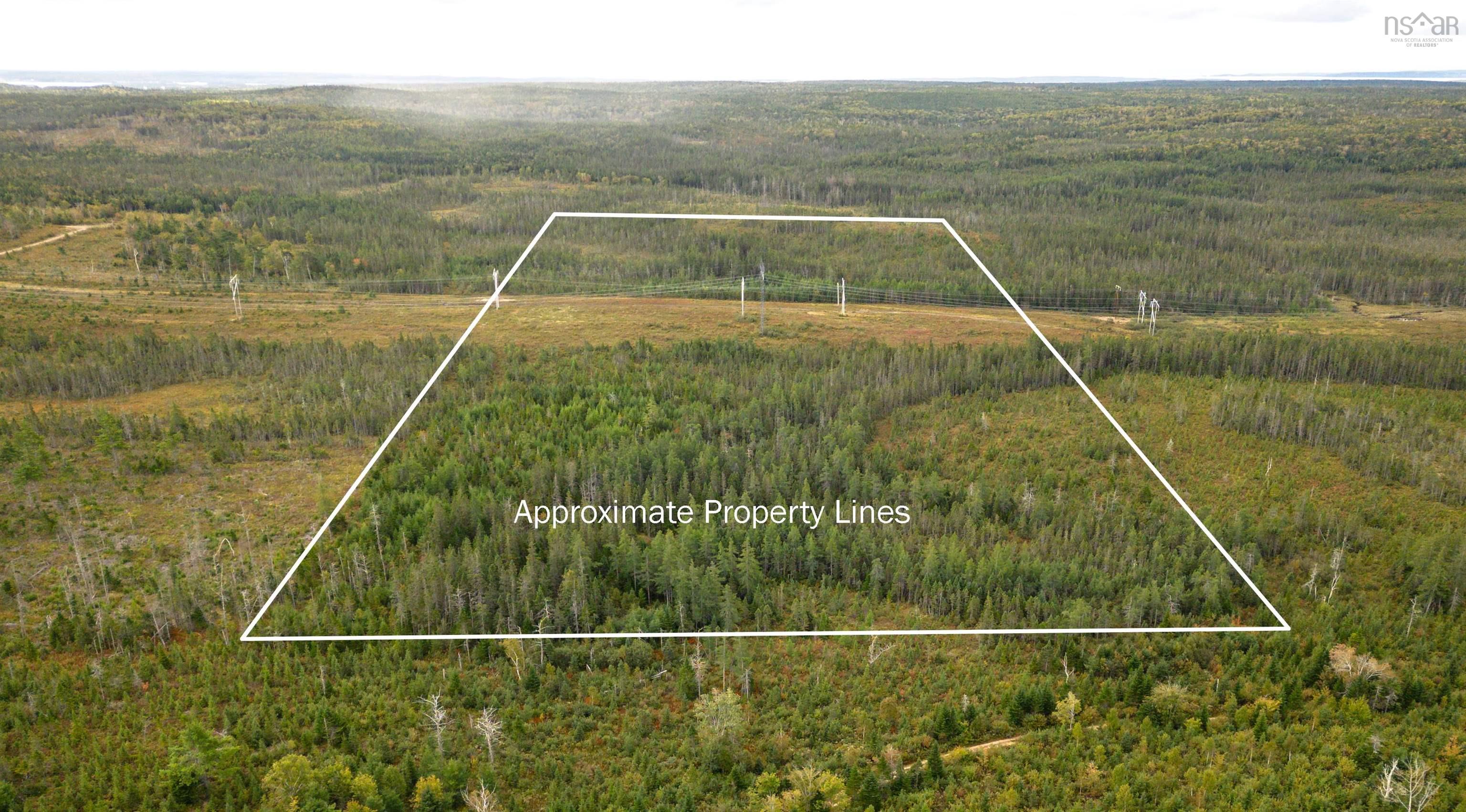$22,500.00: 44 Acres Rear Black River Road, Grande Anse